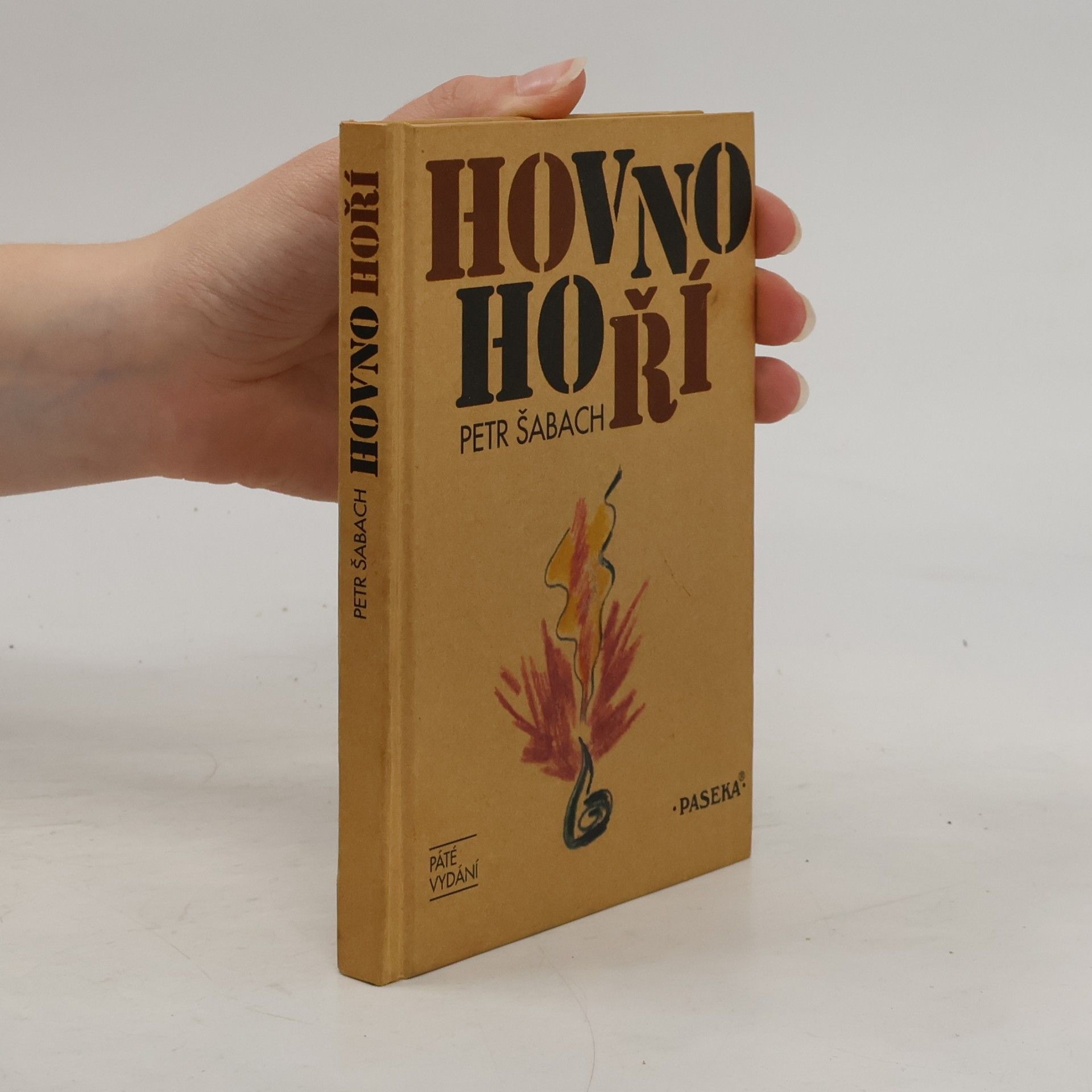 Petr Šabach Hovno hoří