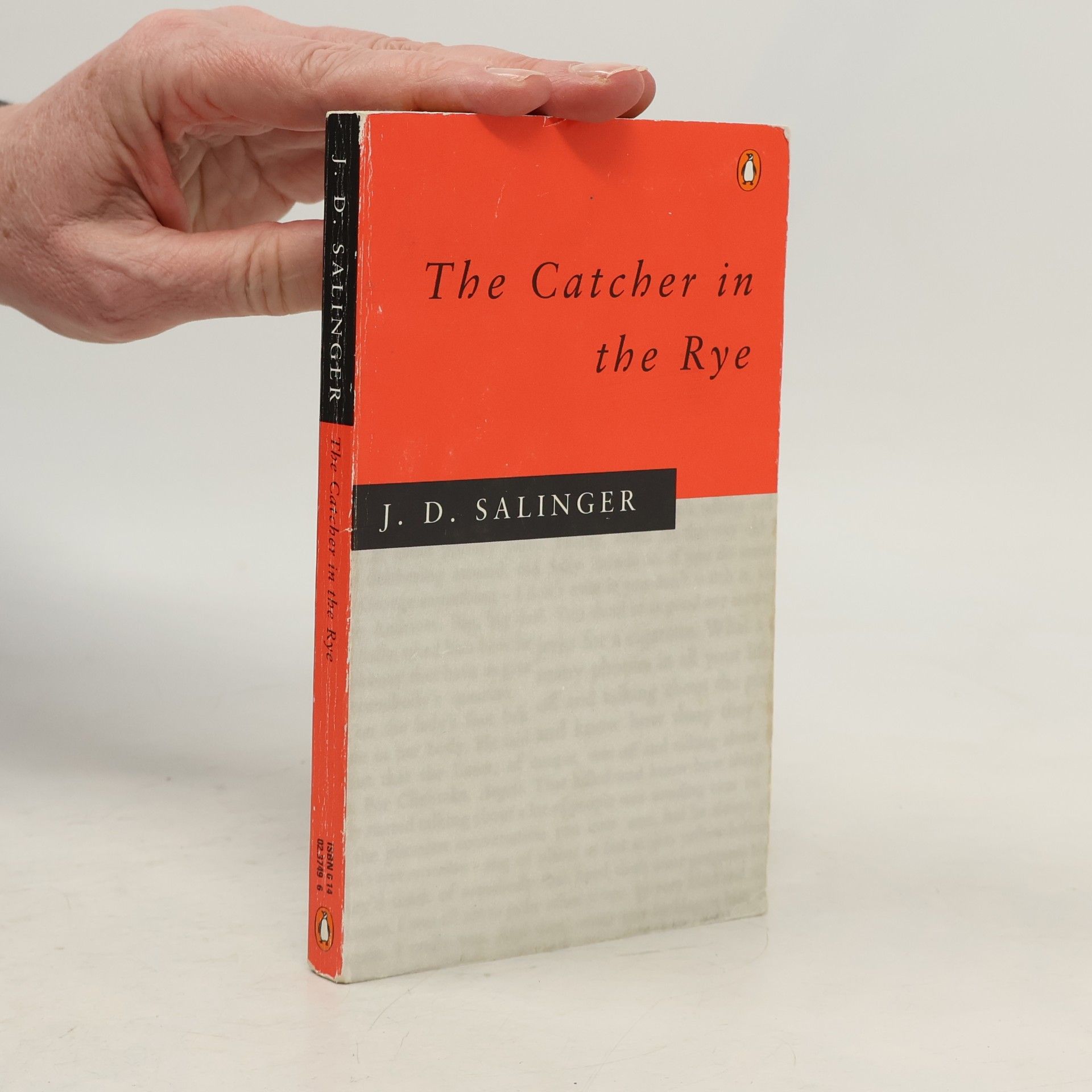 The Catcher in the Rye