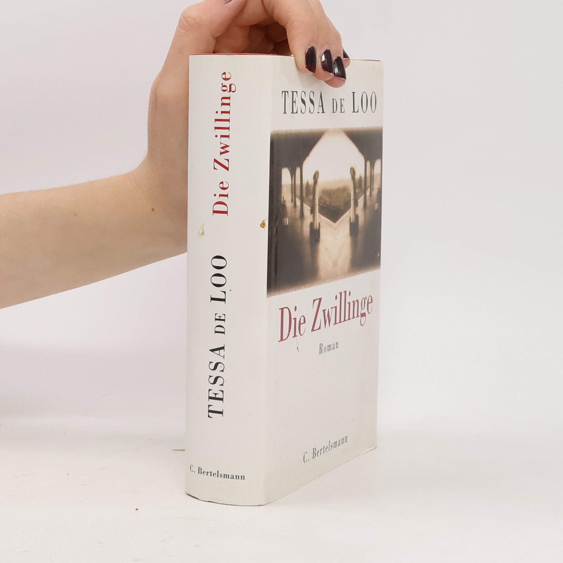 Tessa de Loo Die Zwillinge