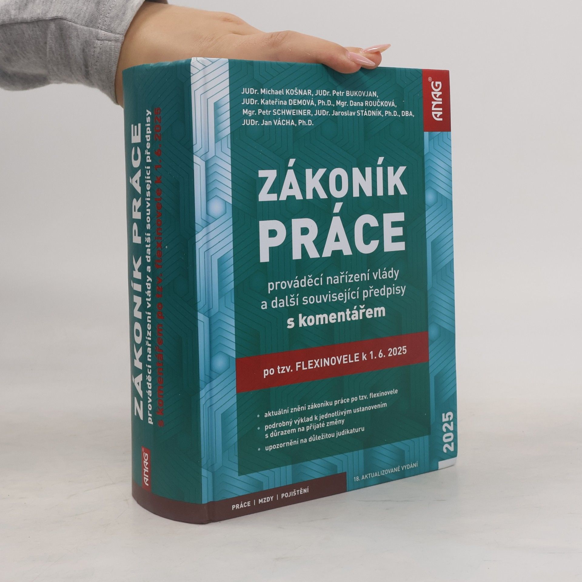 Michael Košnar Zákoník práce, prováděcí nařízení vlády a další související předpisy s komentářem po tzv. flexinovele