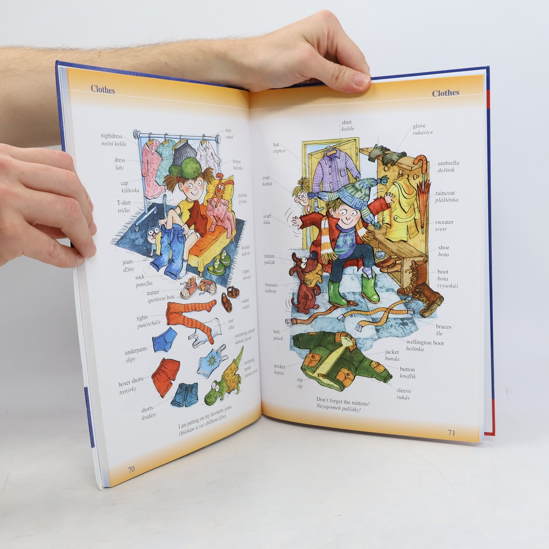 Autorenkollektiv Můj první školní slovník anglicko-český česko- anglický