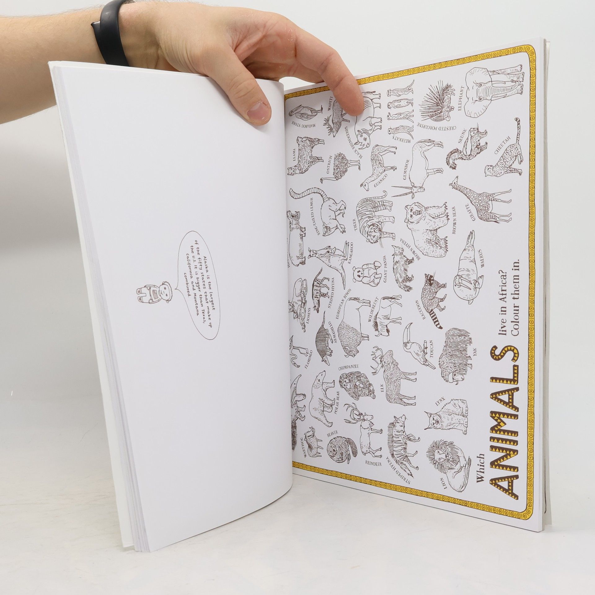 Aleksandra Mizielińska Maps Activity Book