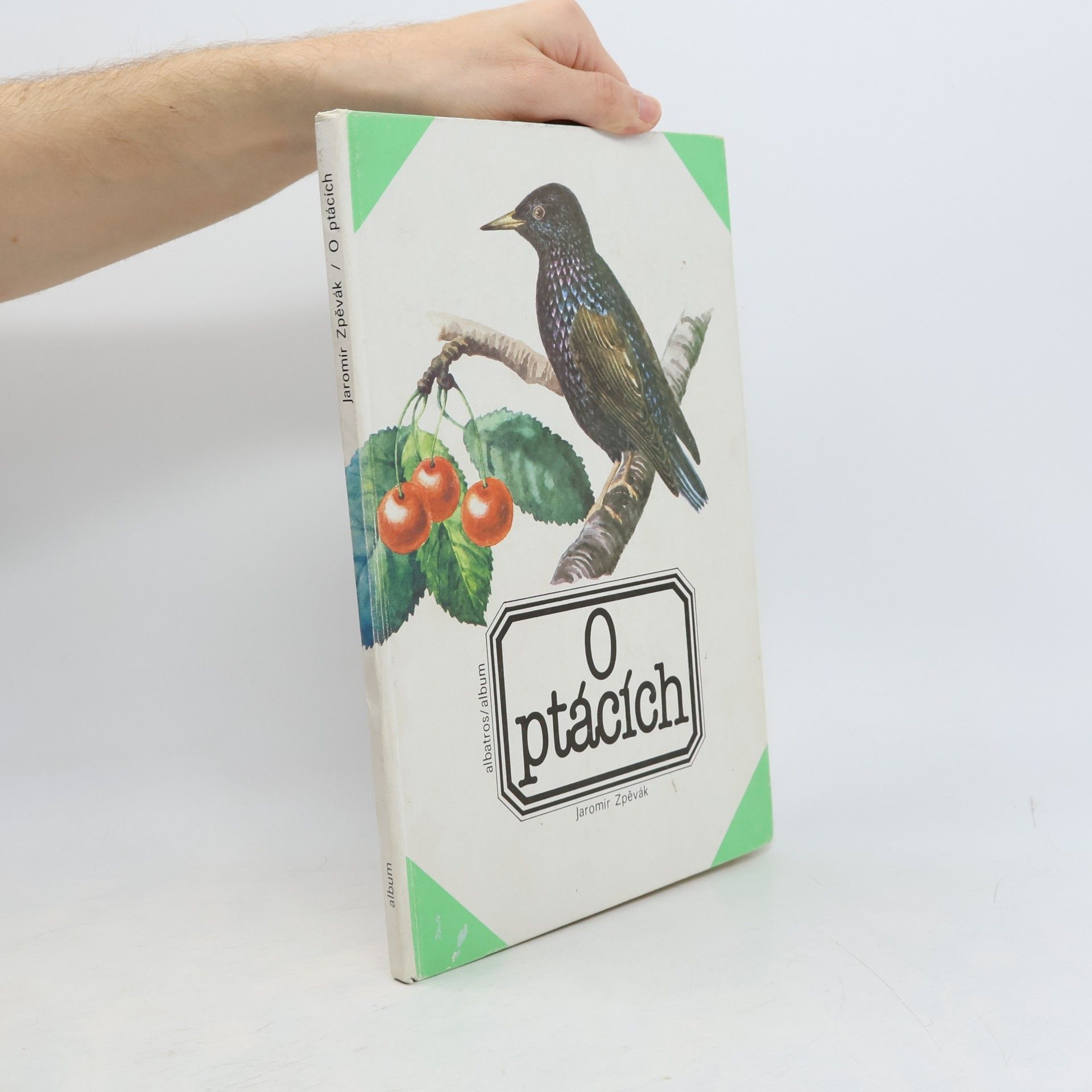O ptácích