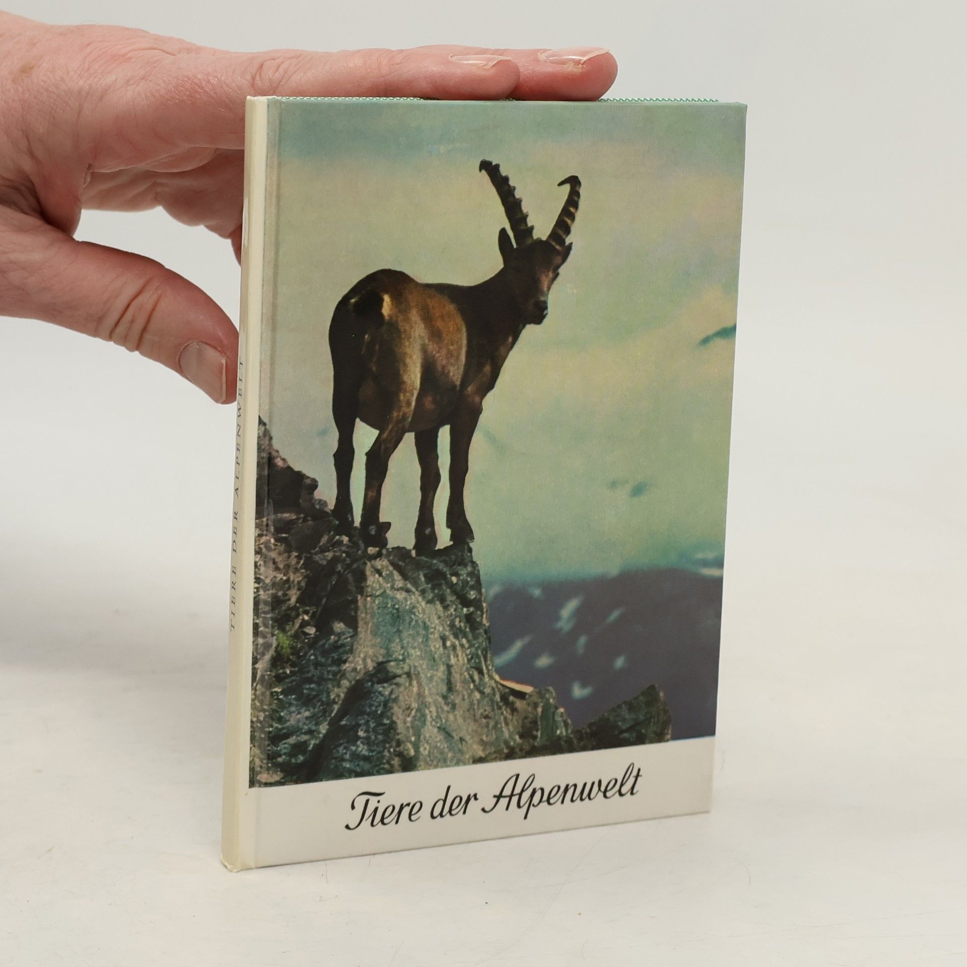 Gerth Rokitansky Tiere Der Alpenwelt