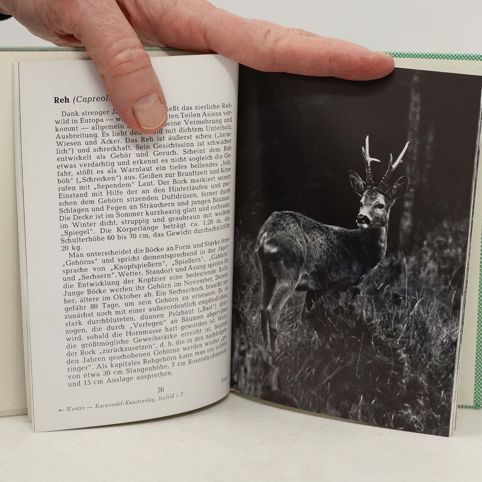 Gerth Rokitansky Tiere Der Alpenwelt