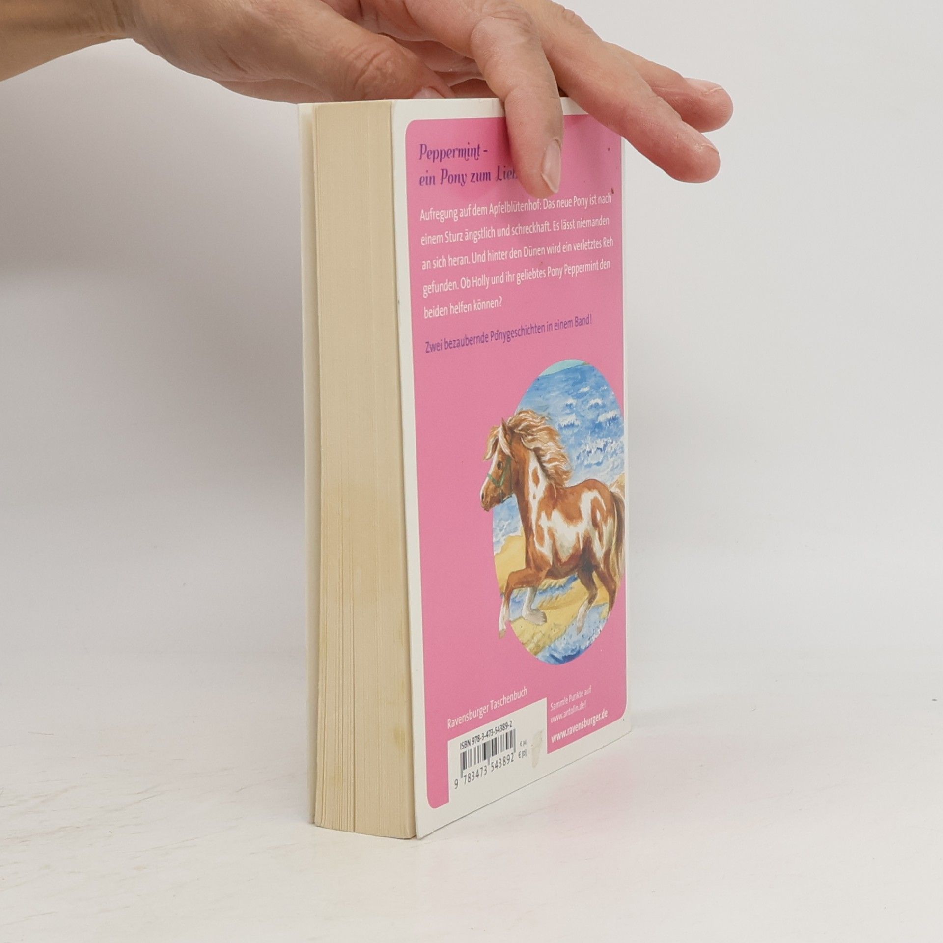 Daniela Stern Das liebste Pony der Welt