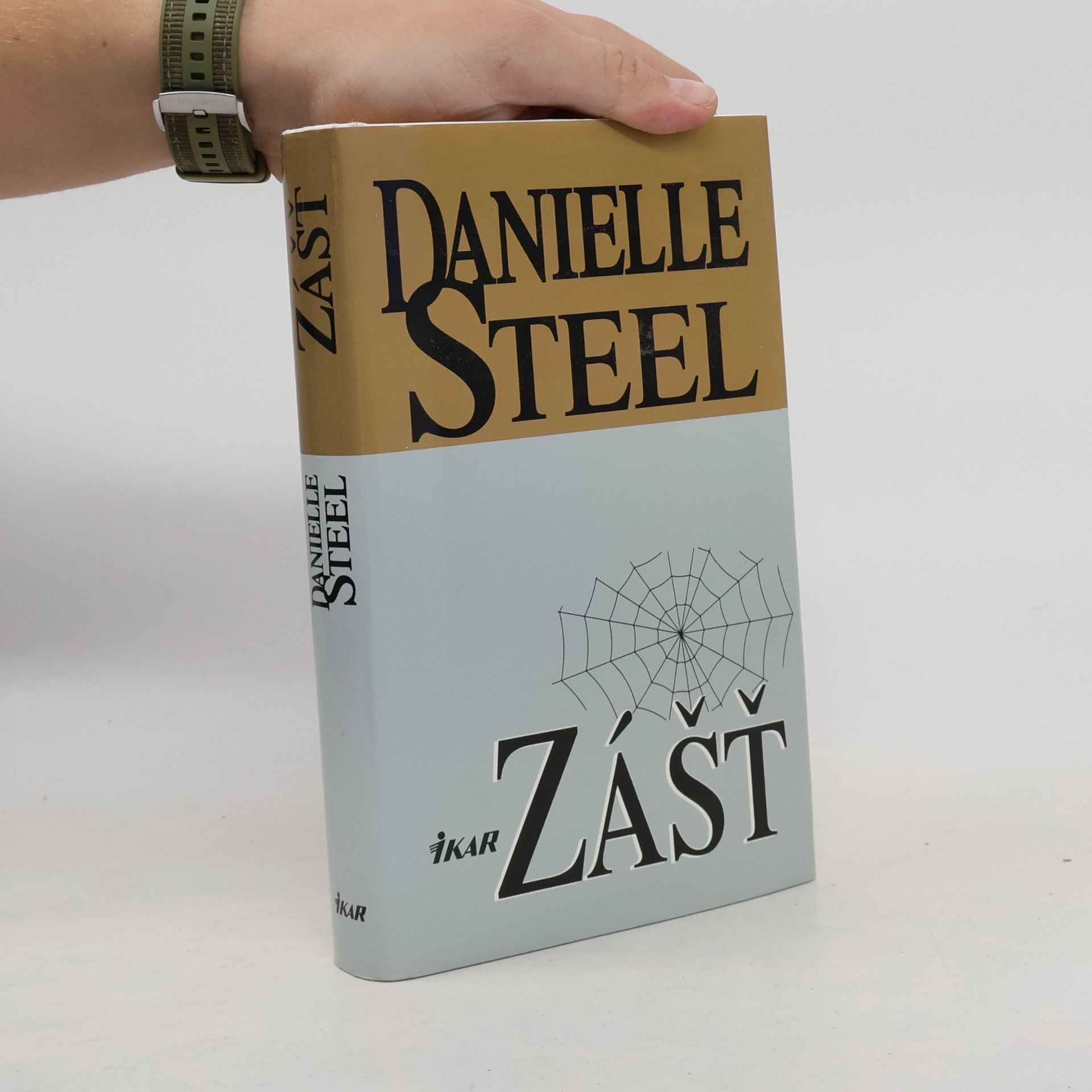 Danielle Steel Zášť