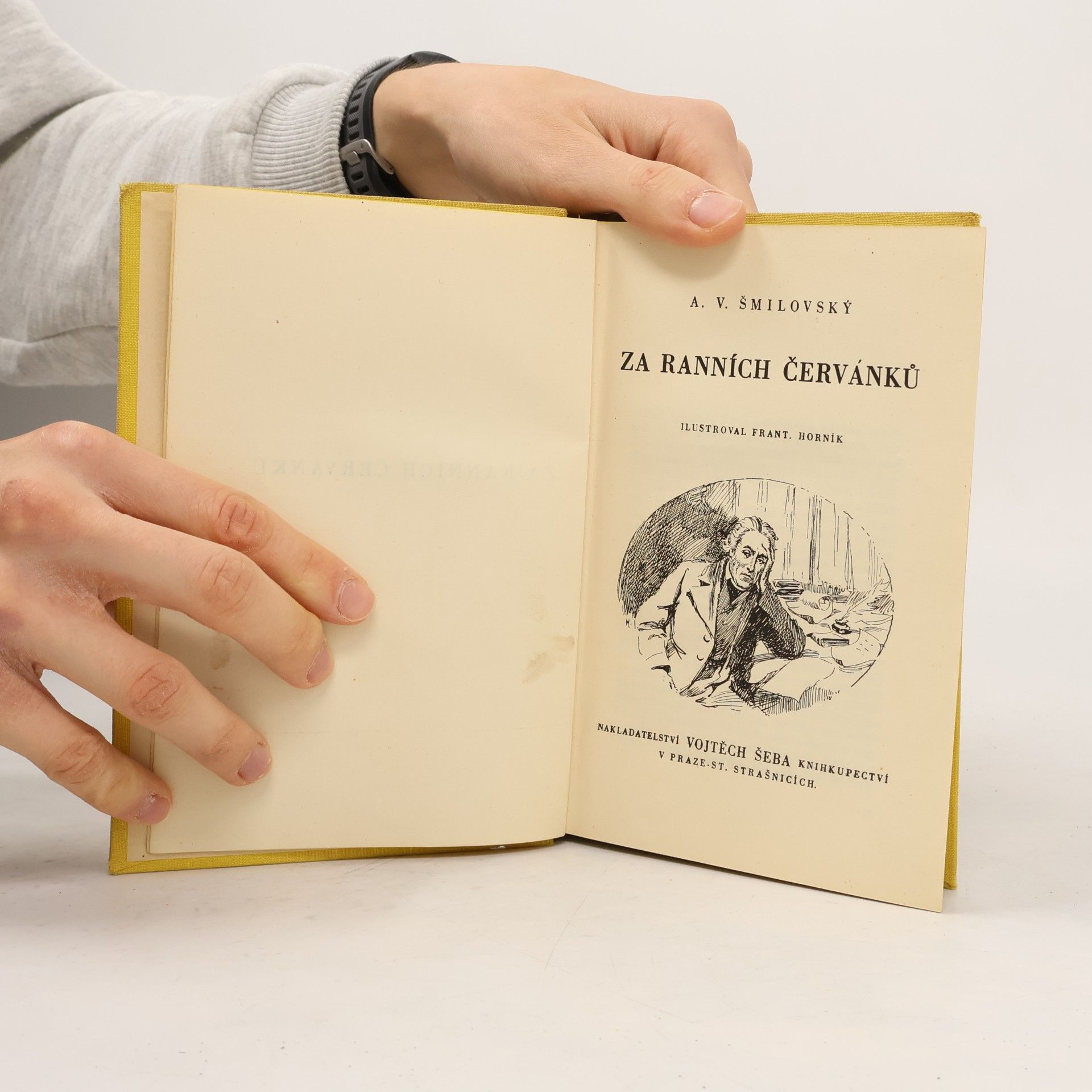 Alois Vojtěch Šmilovský Za ranních červánků