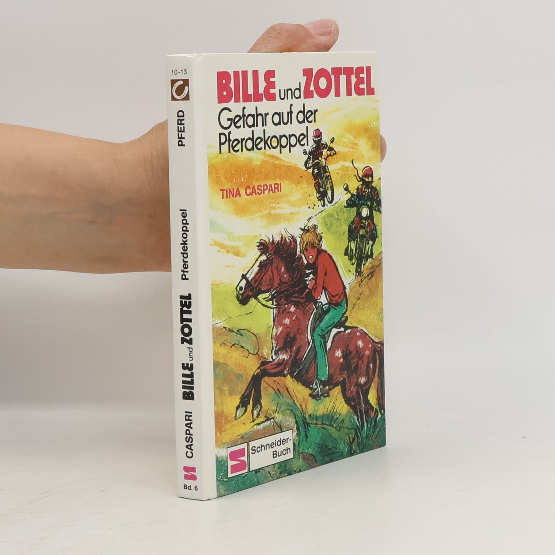 Tina Caspari Bille und Zottel Bd. 06. Gefahr auf der Pferdekoppel