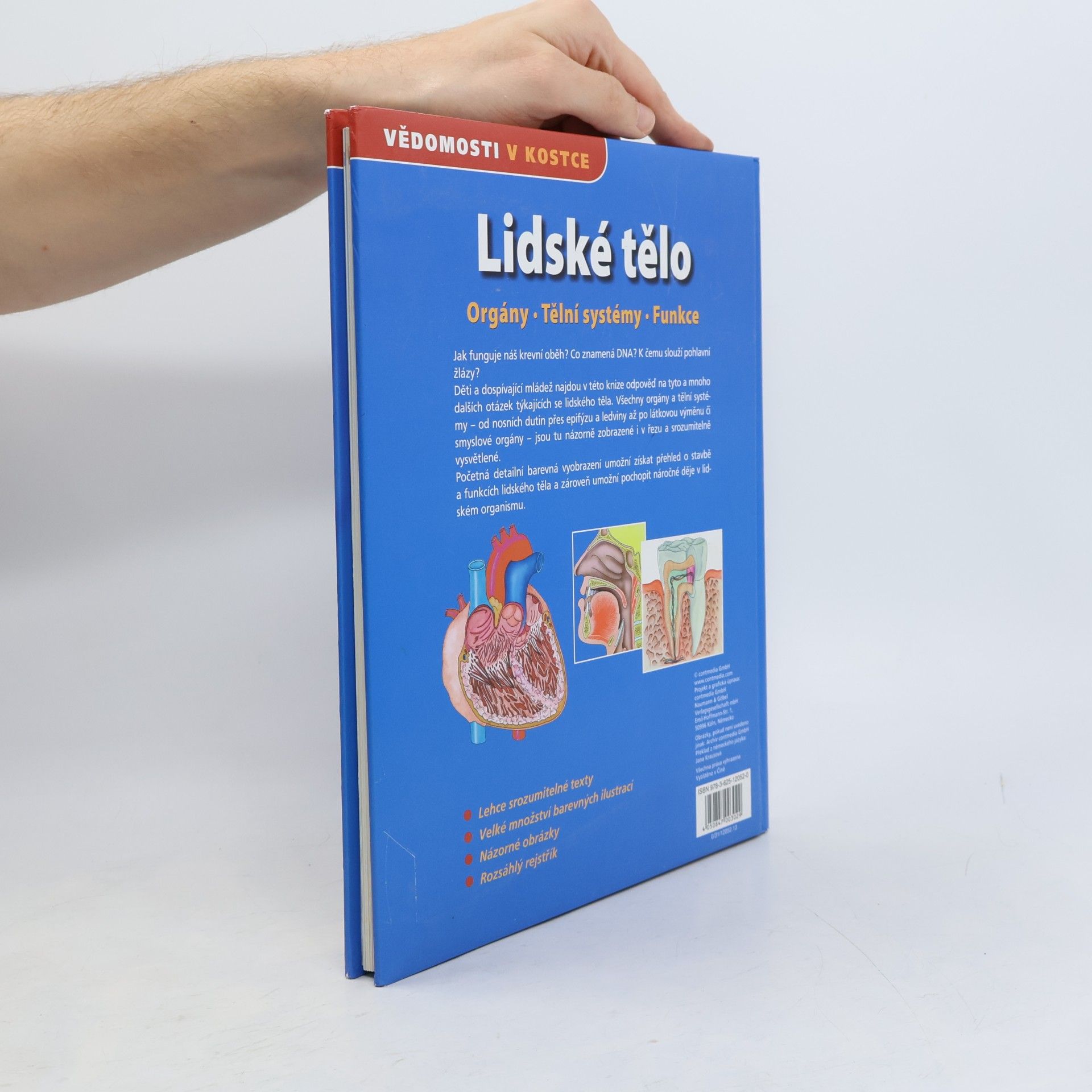 Autorenkollektiv Lidské tělo. Orgány. Tělní systémy. Funkce