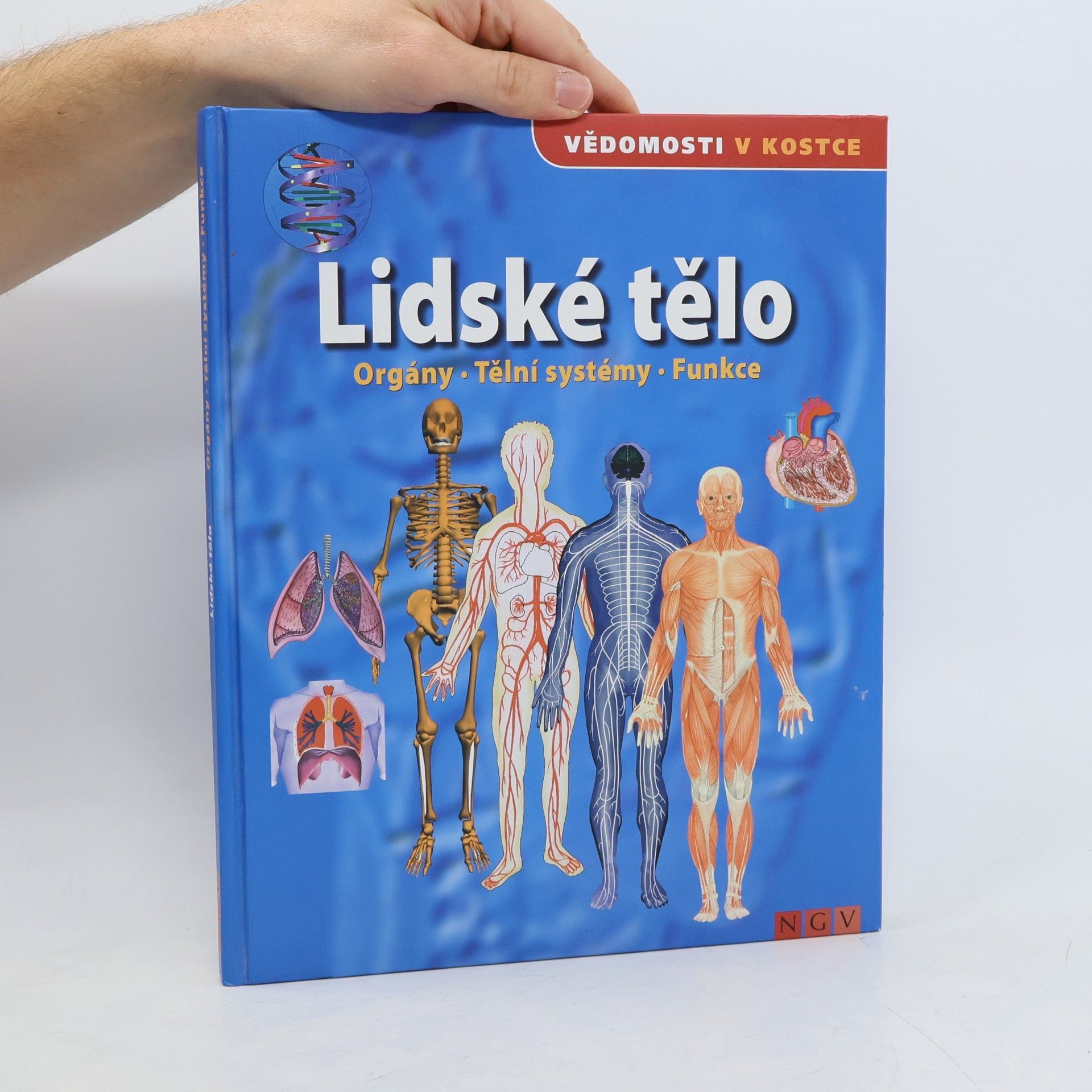 Autorenkollektiv Lidské tělo. Orgány. Tělní systémy. Funkce