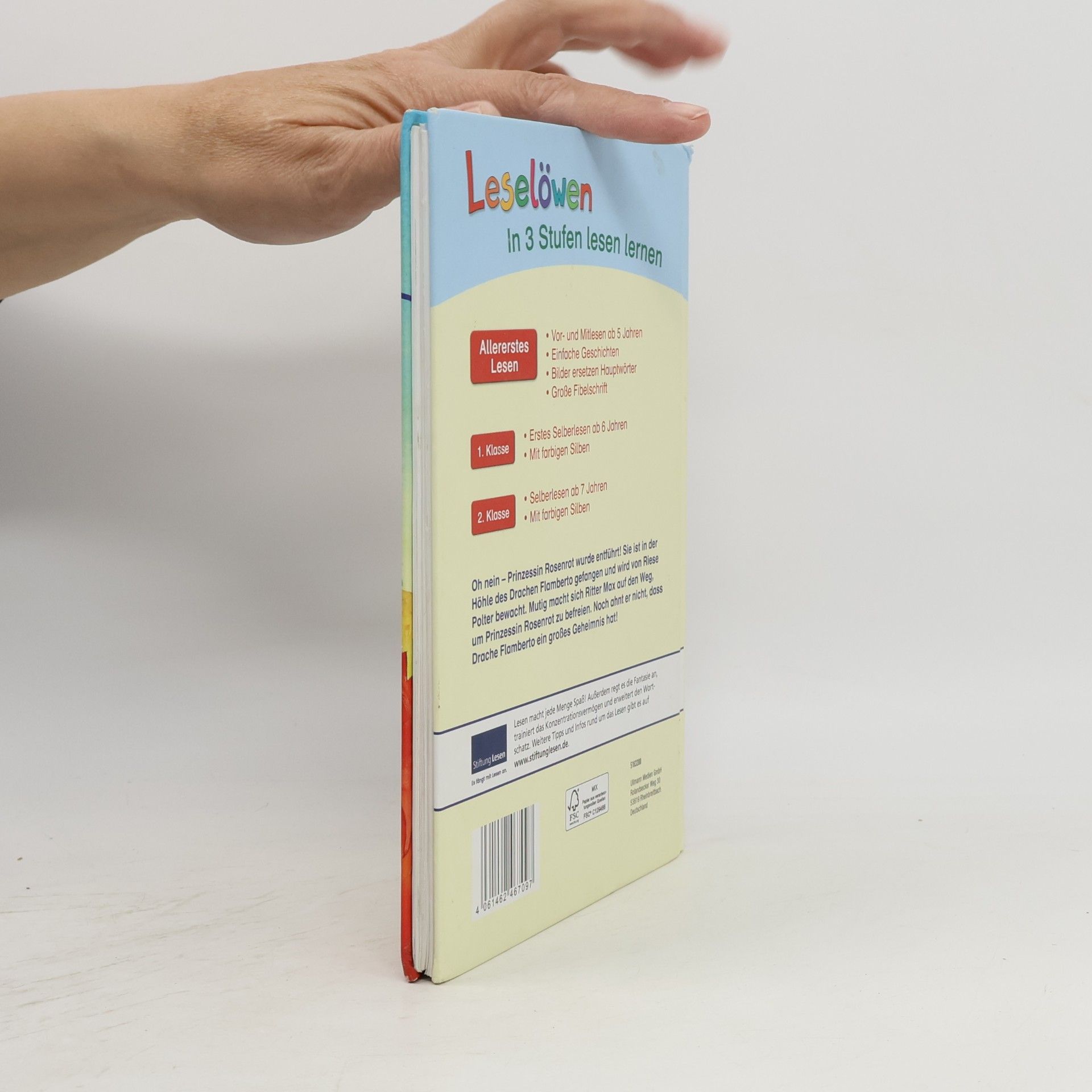 Auteurscollectief Leselöwen. Drachengeschichten