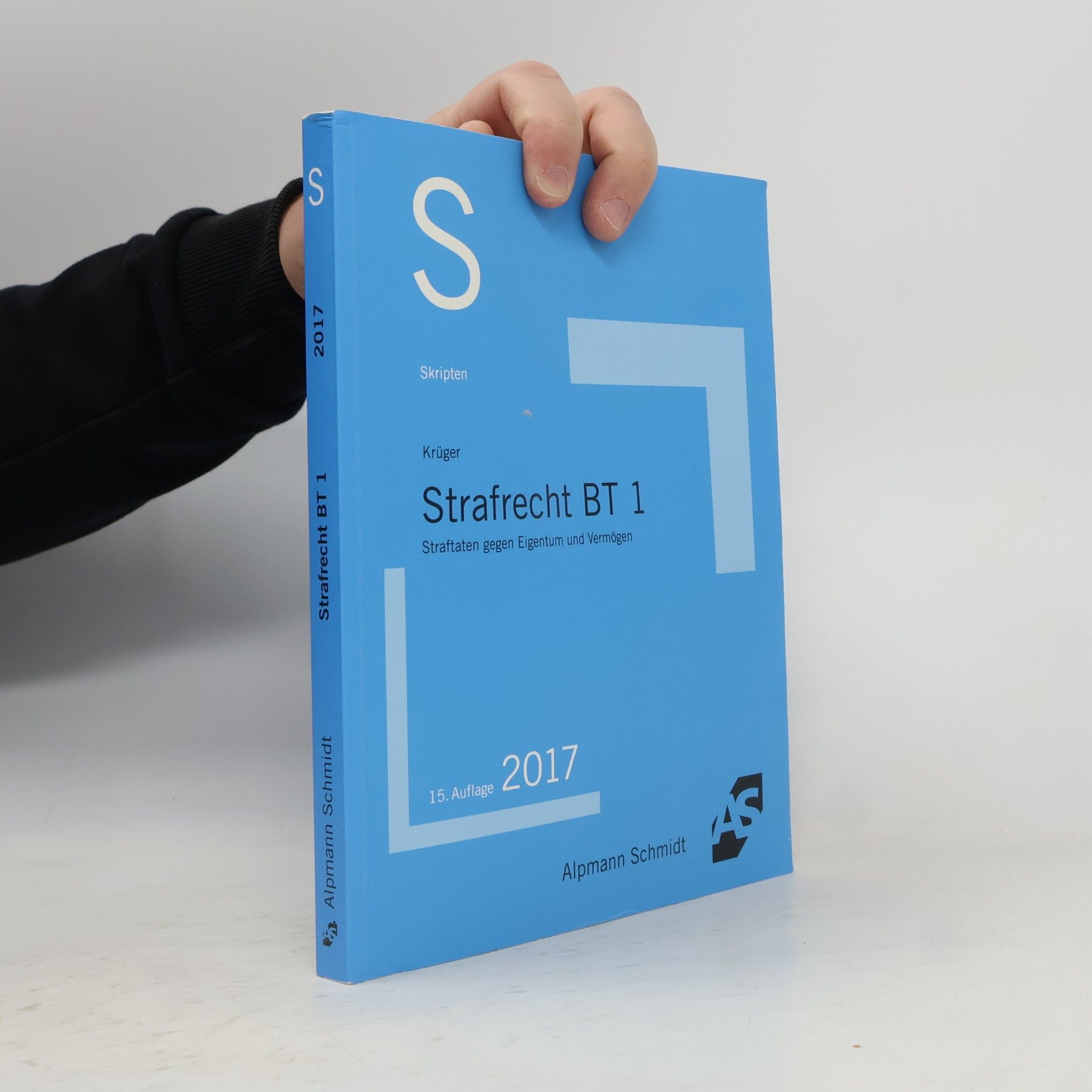 Rolf Krüger Skript Strafrecht BT 1