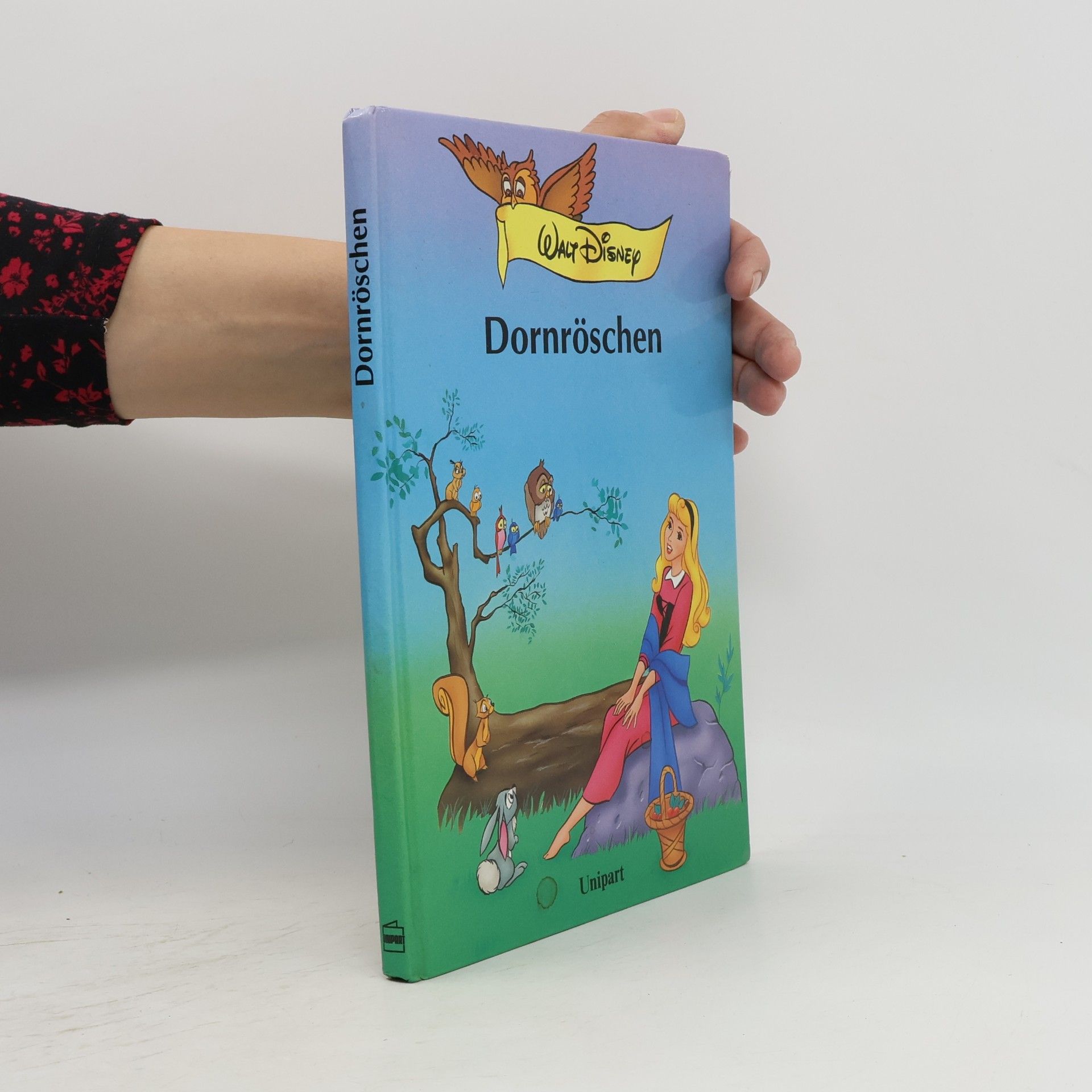Autorenkollektiv Dornröschen