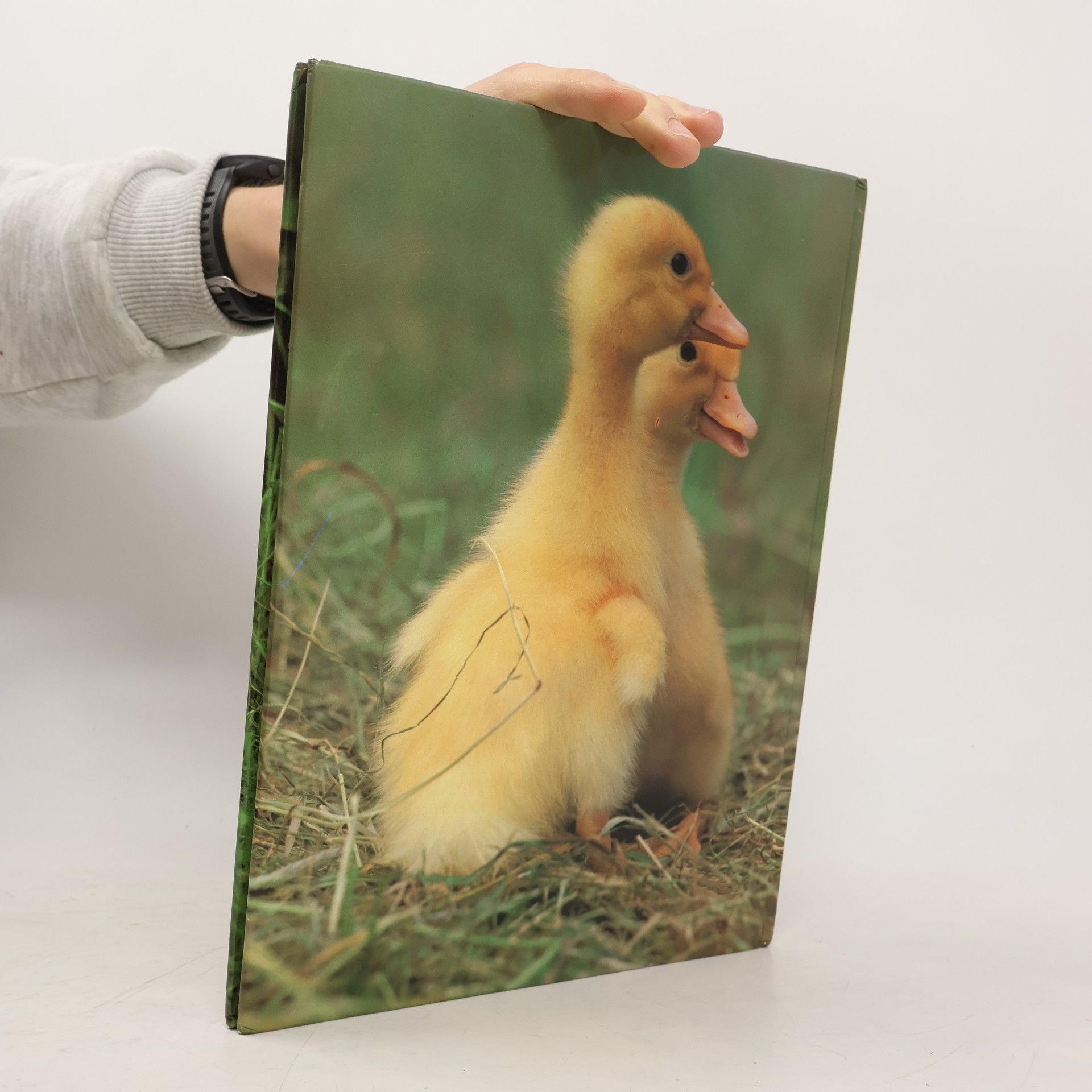 The World of Baby Animals