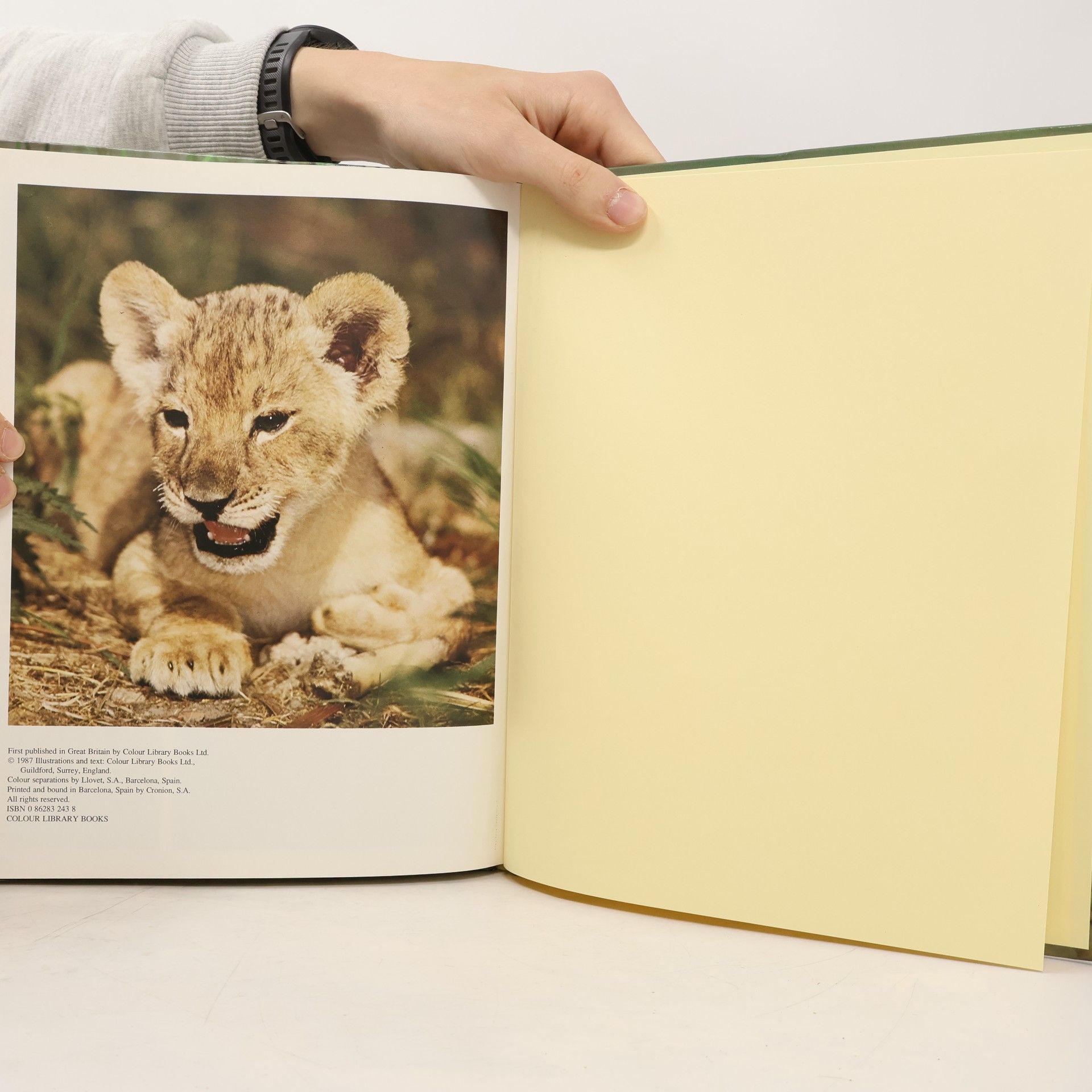 The World of Baby Animals