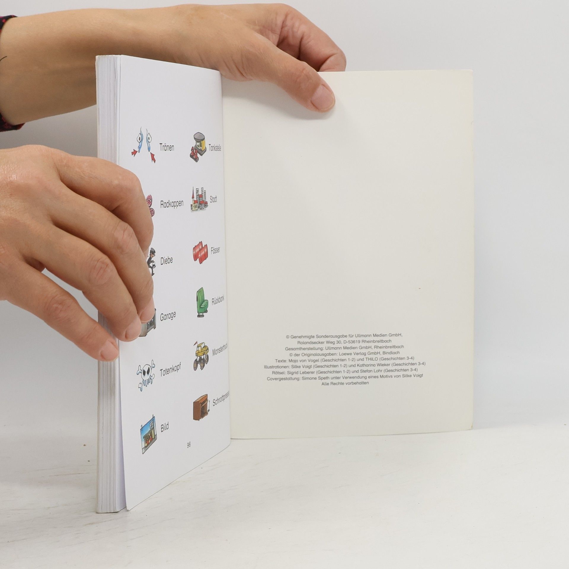 Maja von Vogel Üben mit den Leselöwen. Ritter- und Autogeschichten