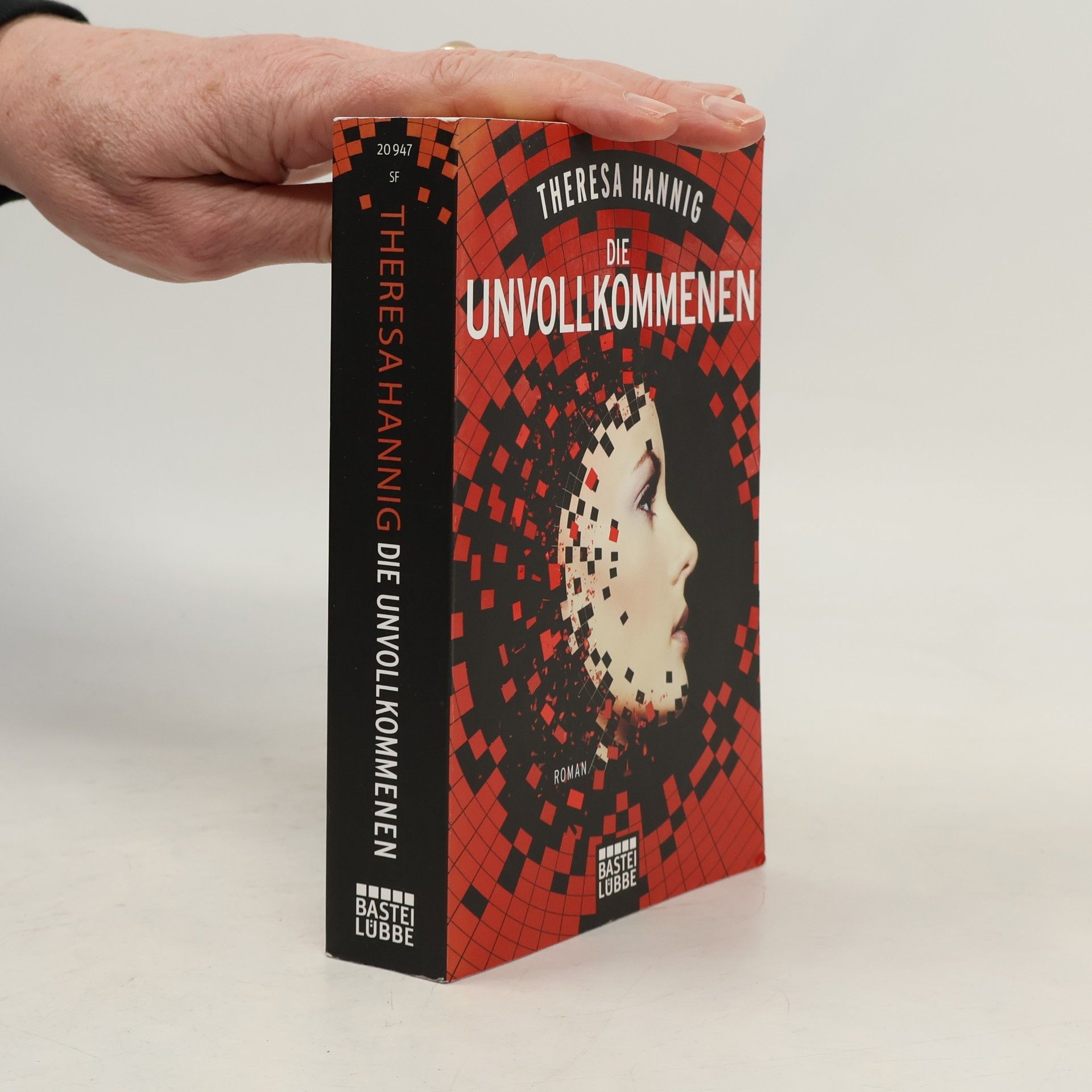 Theresa Hannig Die Unvollkommenen