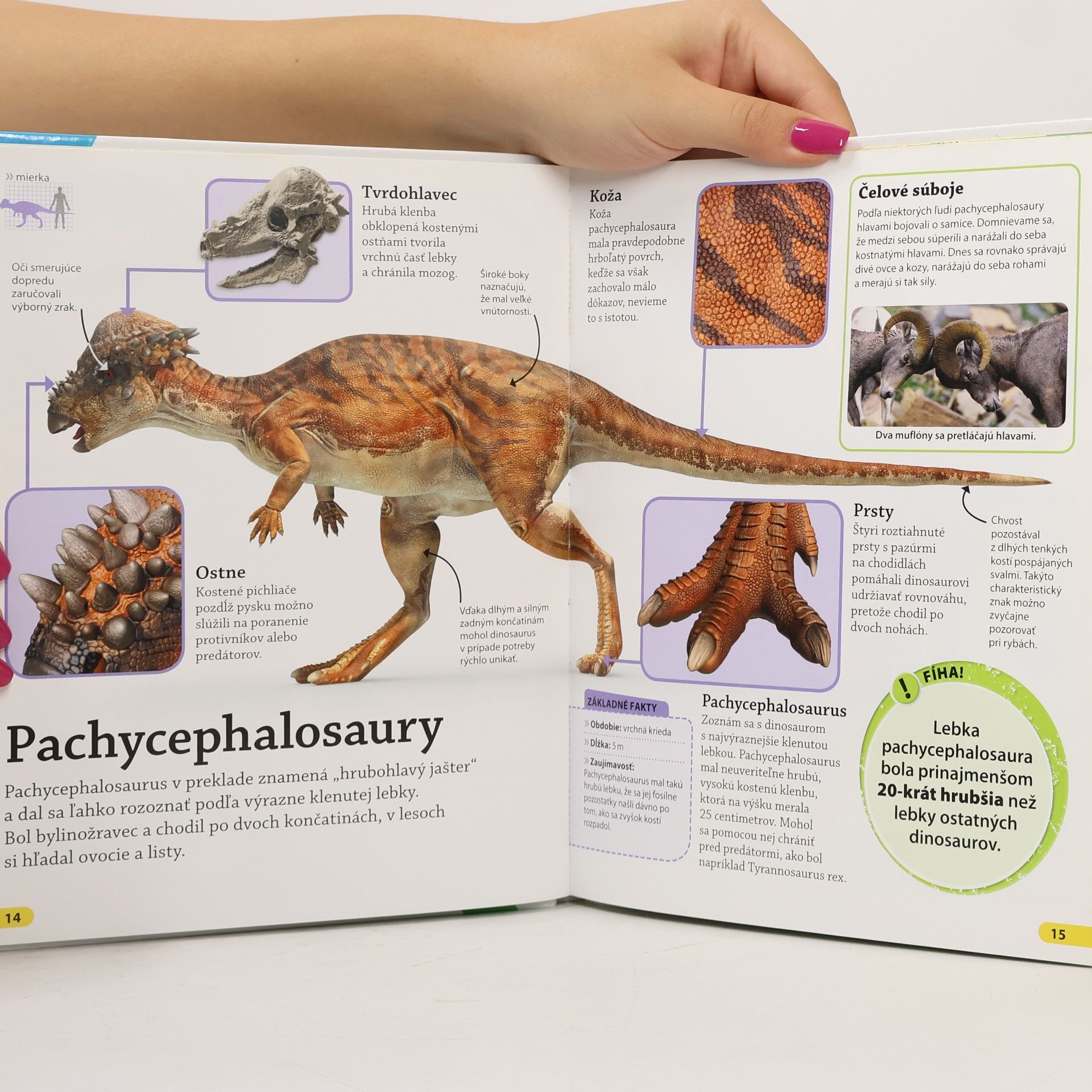 Various authors Objavuj! Dinosaury