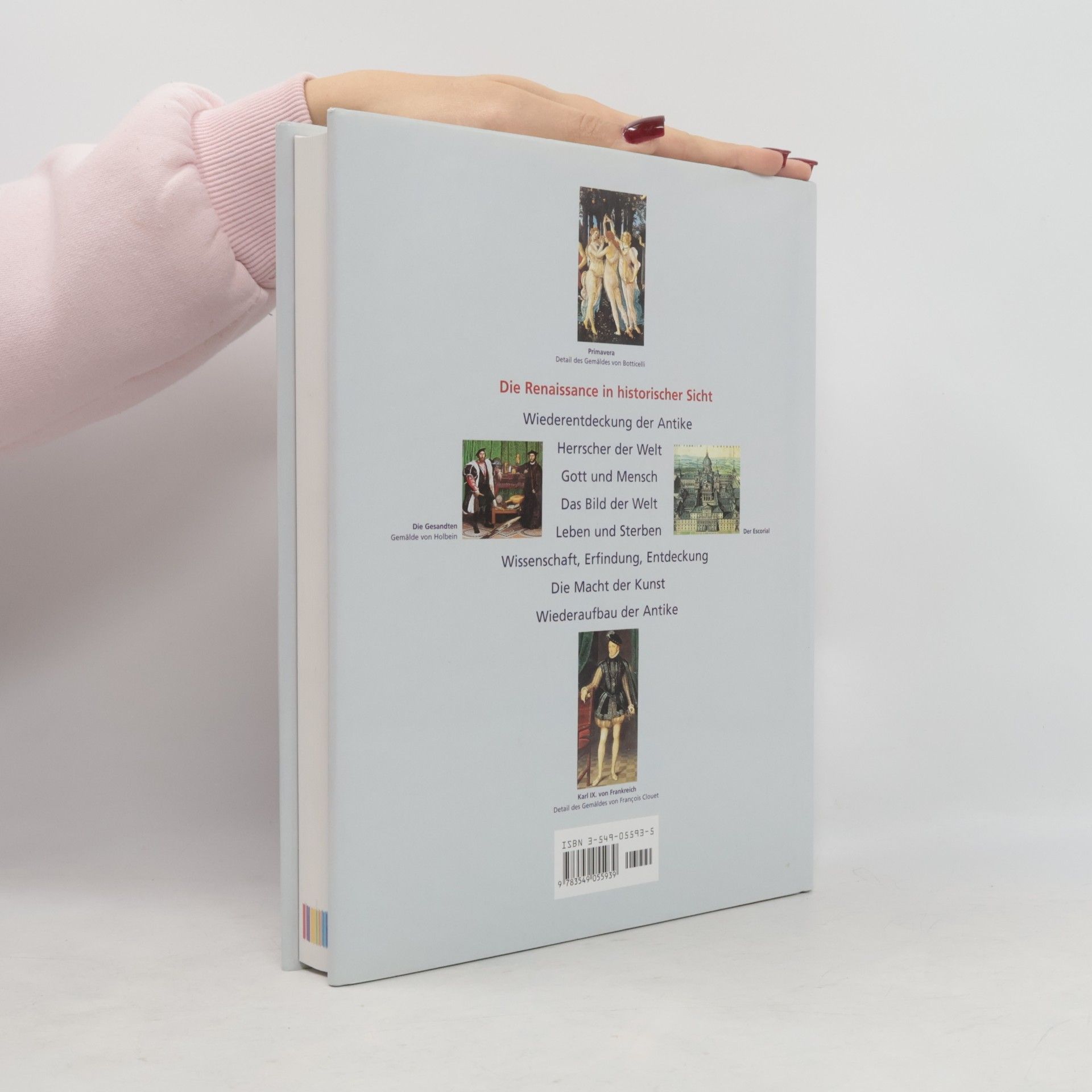 Margaret Aston Panorama der Renaissance