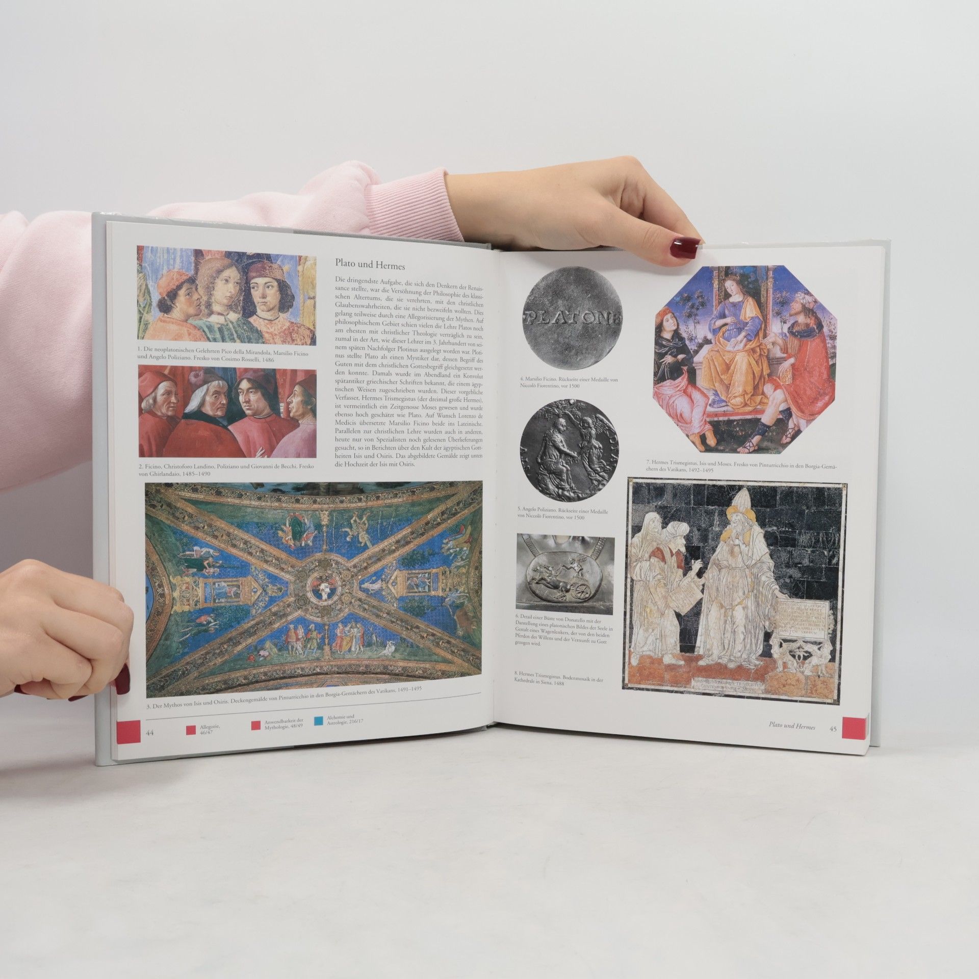 Margaret Aston Panorama der Renaissance