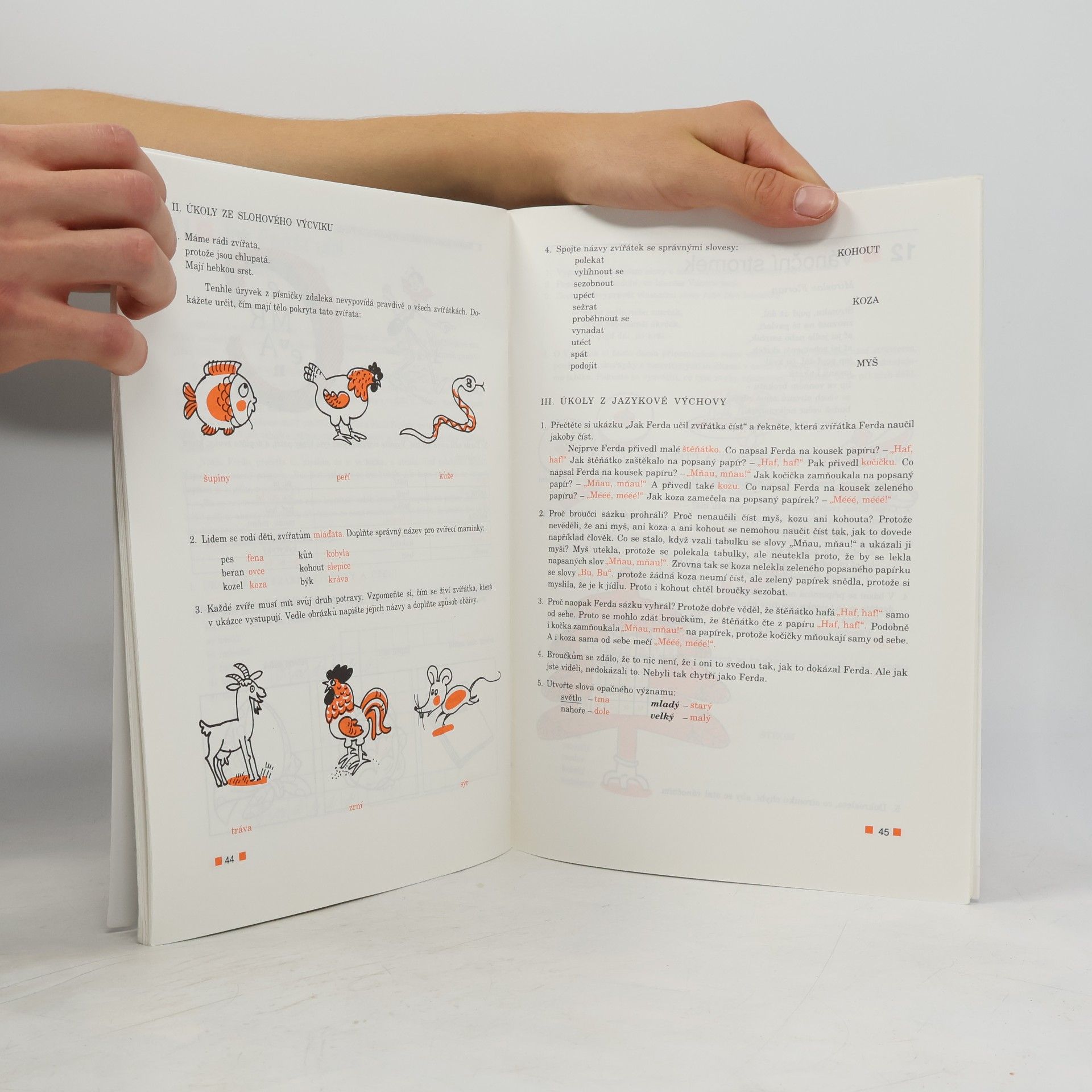 Autorenkollektiv Hrajeme si s jazykem pro 3. a 4. ročník základní školy