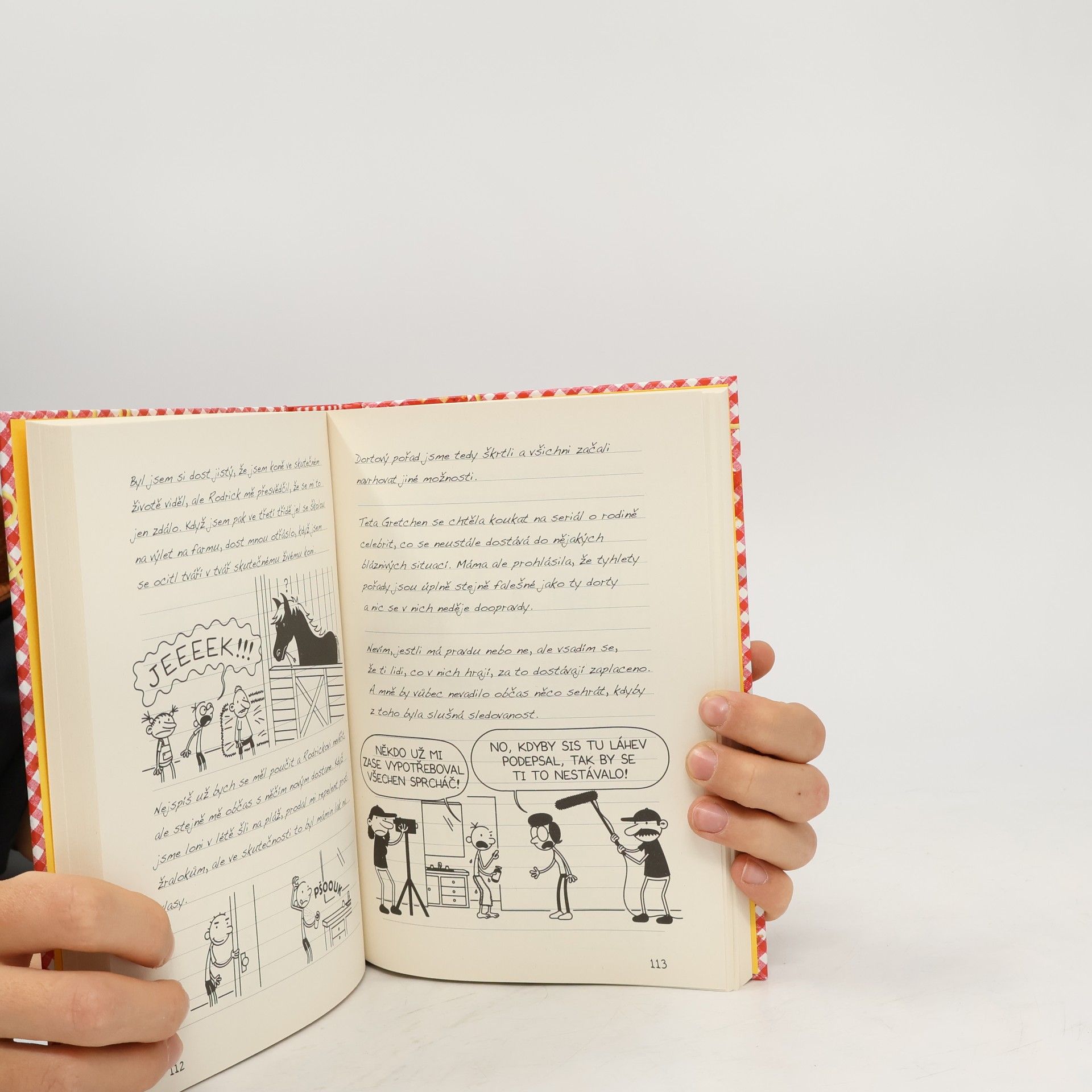 Jeff Kinney Deník malého poseroutky 19. Recept na katastrofu