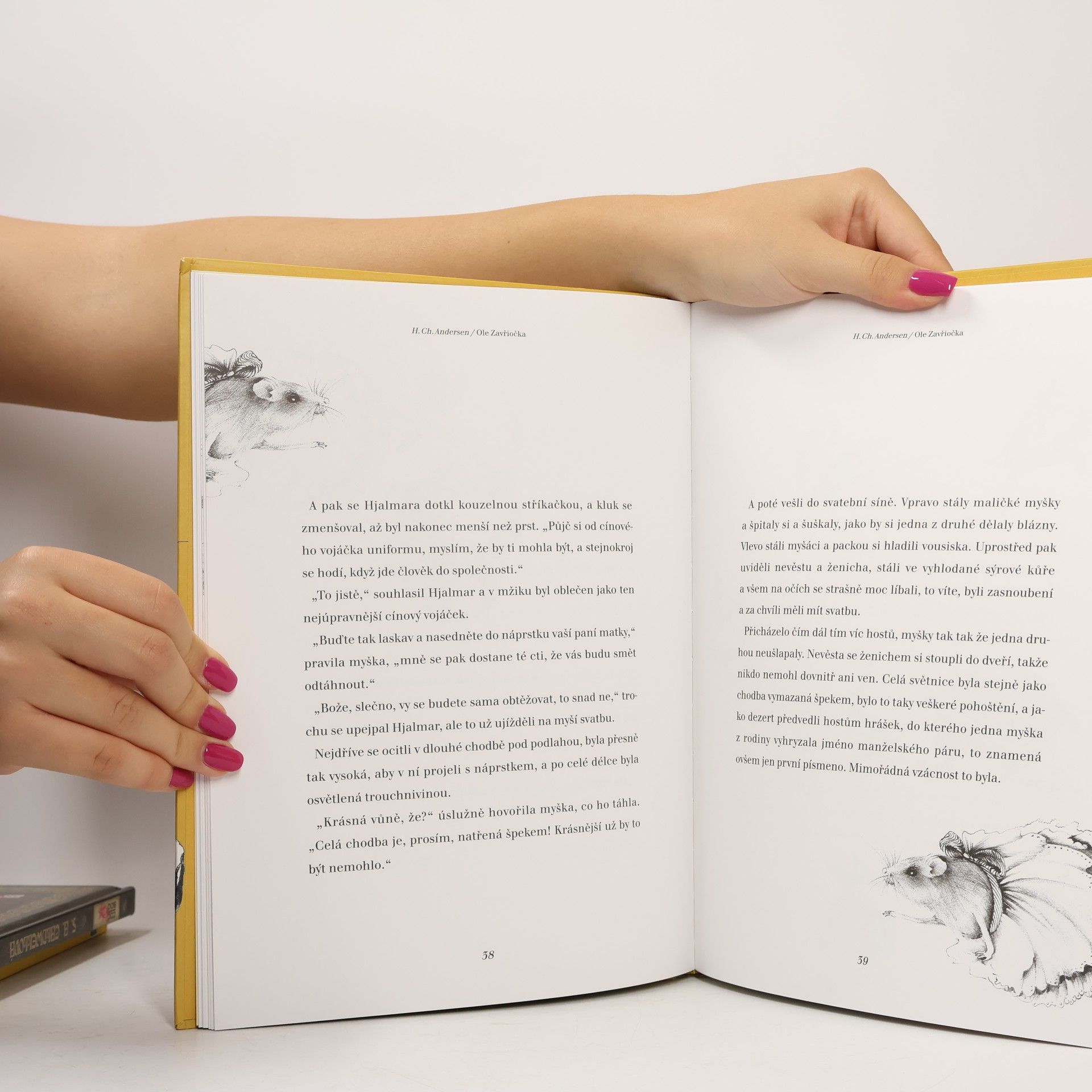 Hans Christian Andersen Křesadlo a další pohádky
