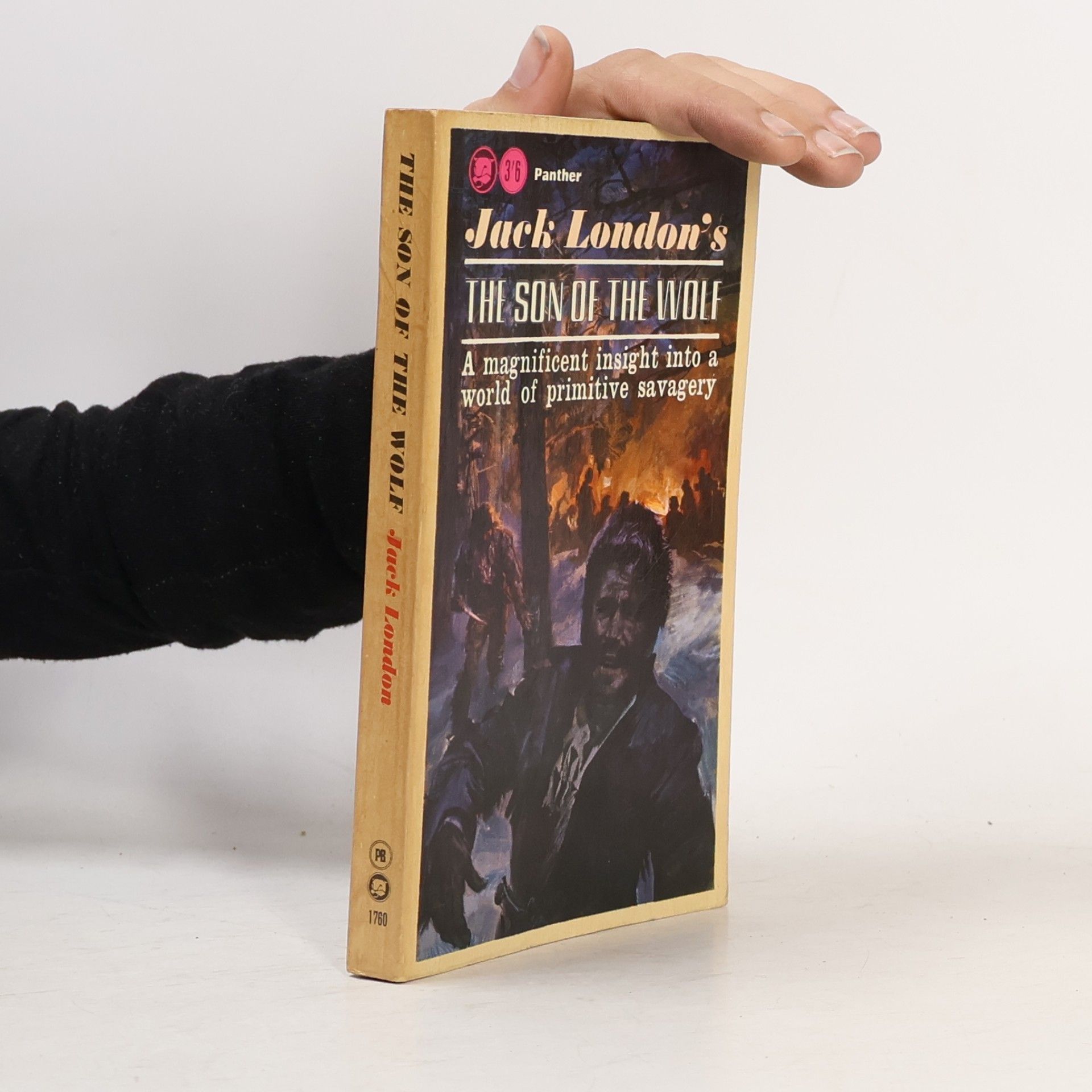 Jack London The Son of the Wolf