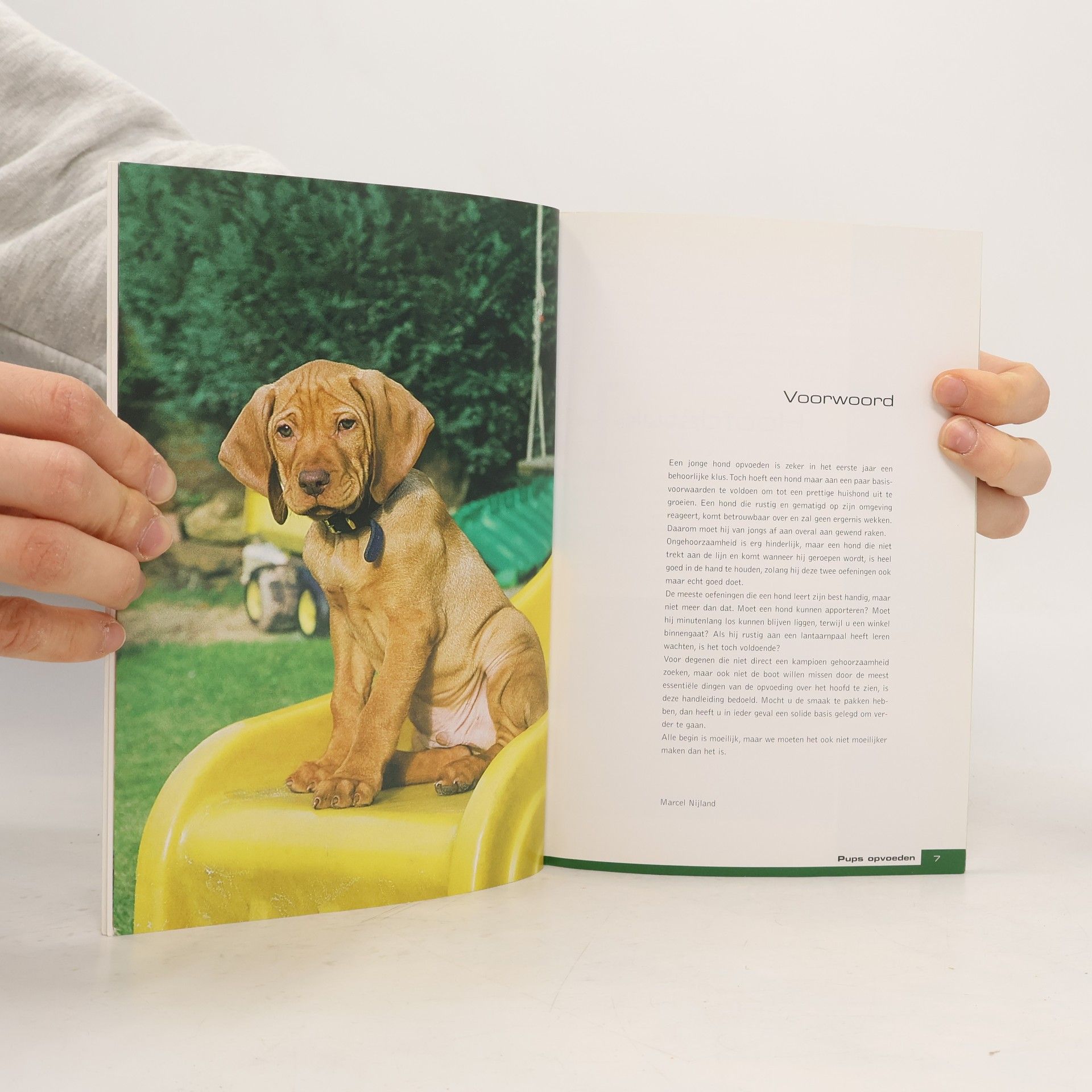 Unknown Author Pups opvoeden / druk 1