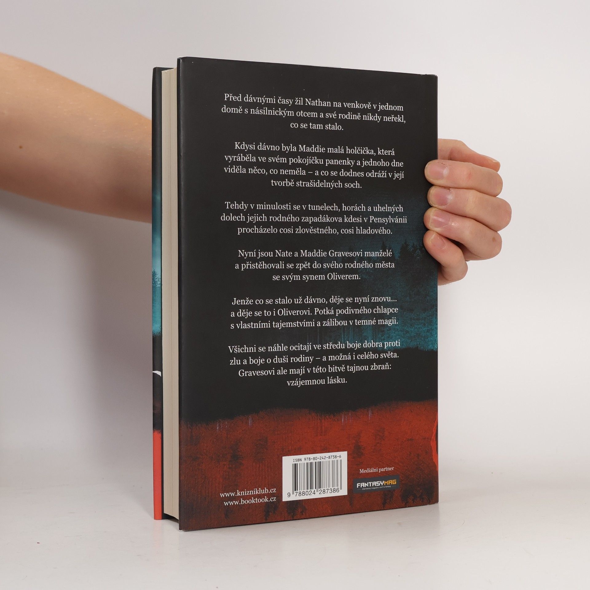 Chuck Wendig Kniha nehod