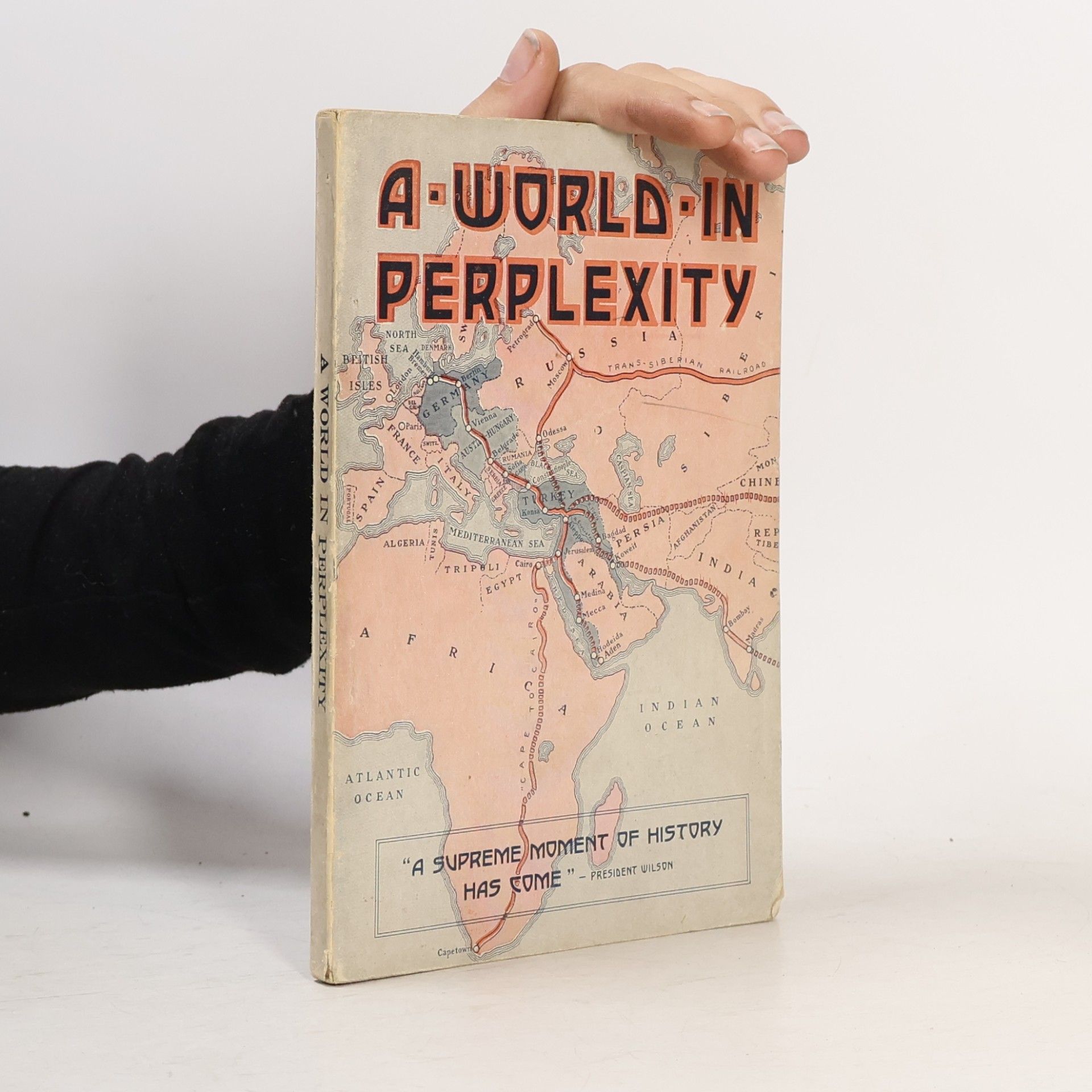 Arthur G. Daniells A World in Perplexity