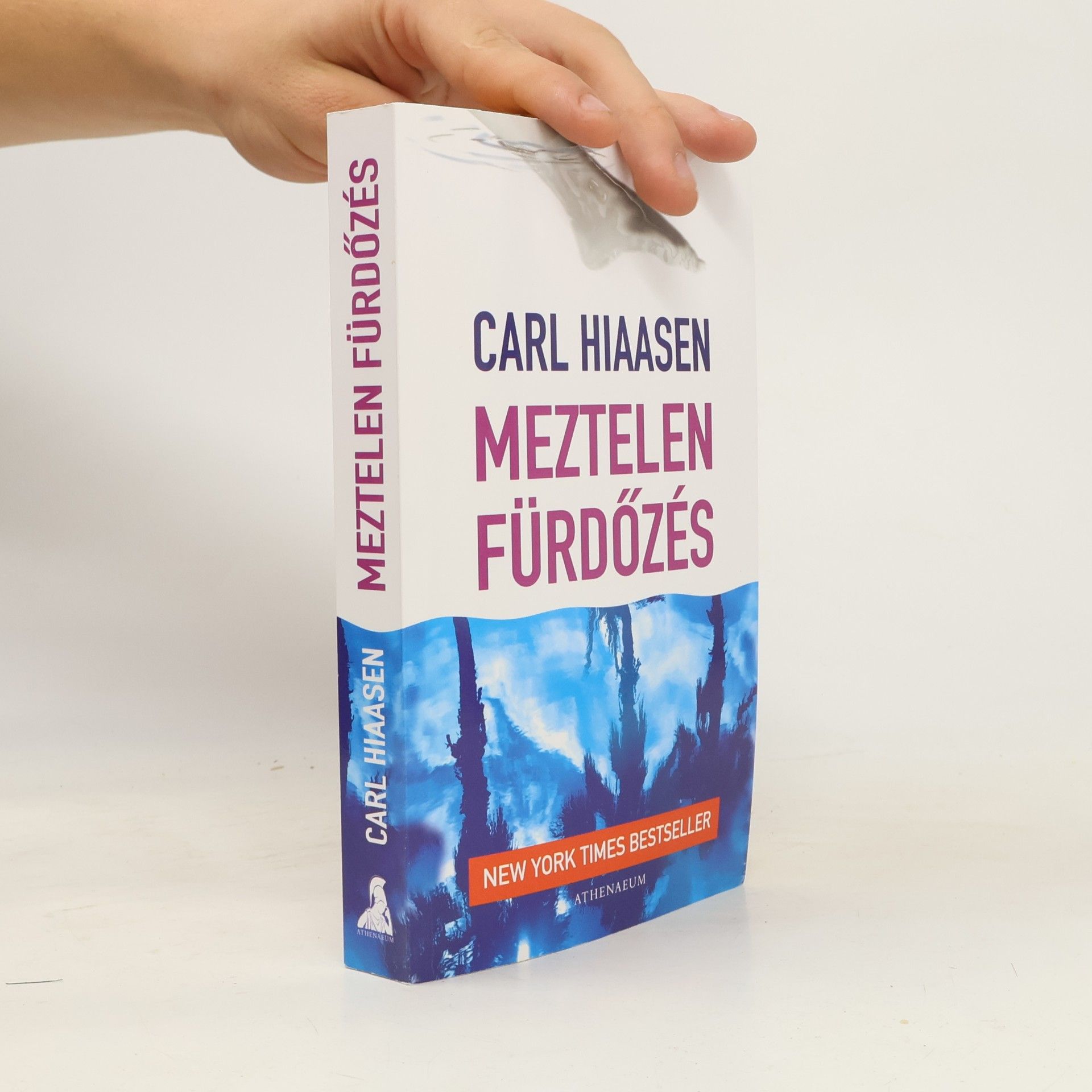 Carl Hiaasen Meztelen fürdőzés