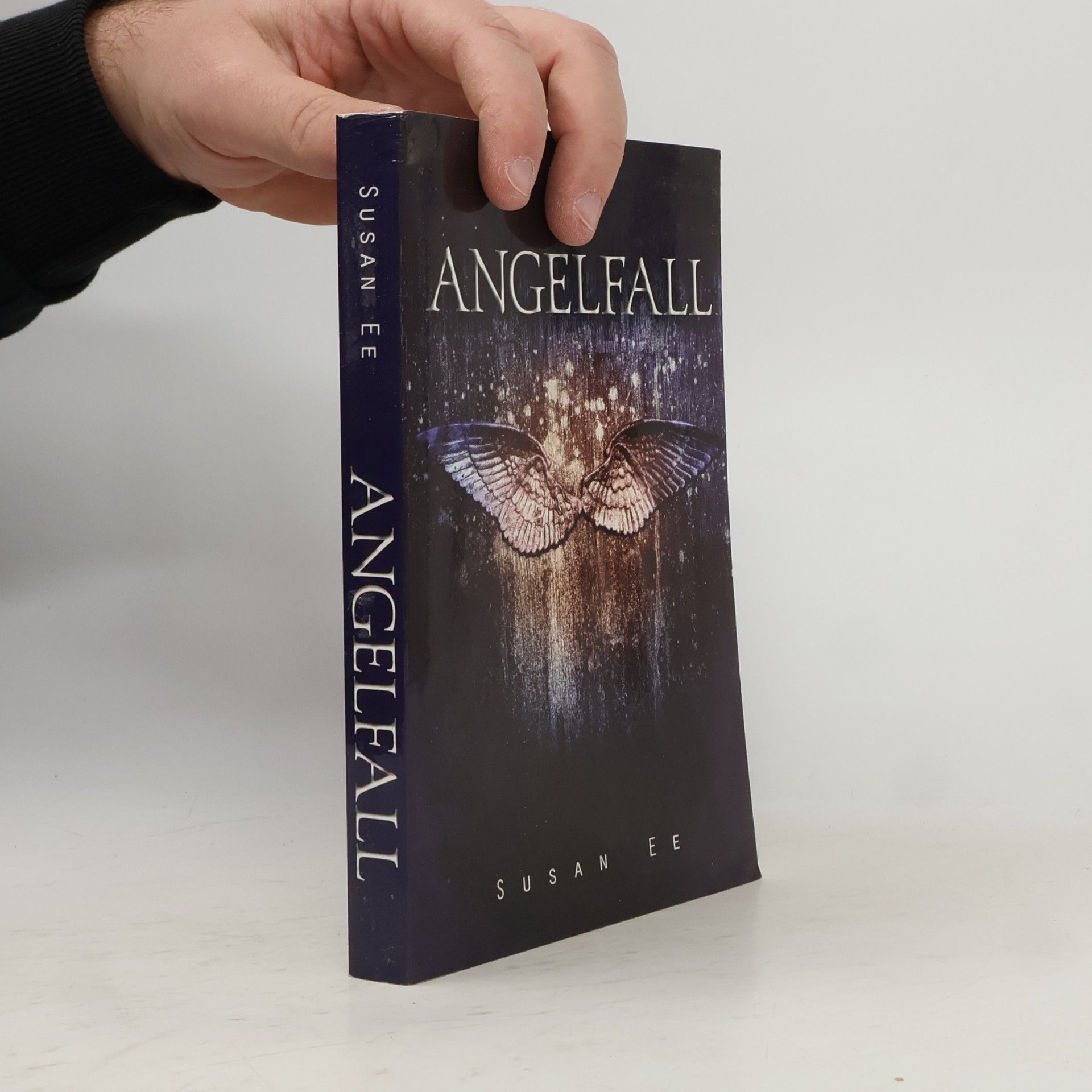 Susan Ee Angelfall