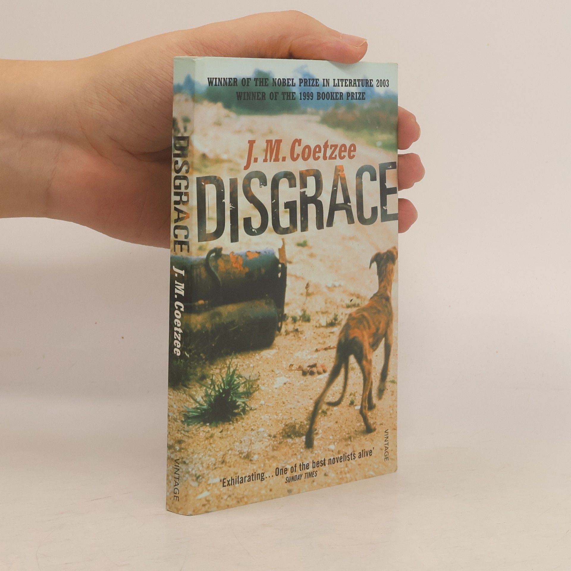 John Maxwell Coetzee Disgrace