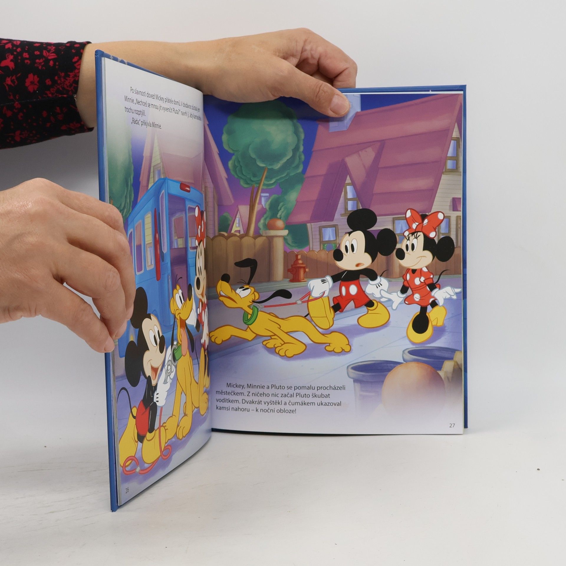 Petra Vichrová Sladké sny, Mickey