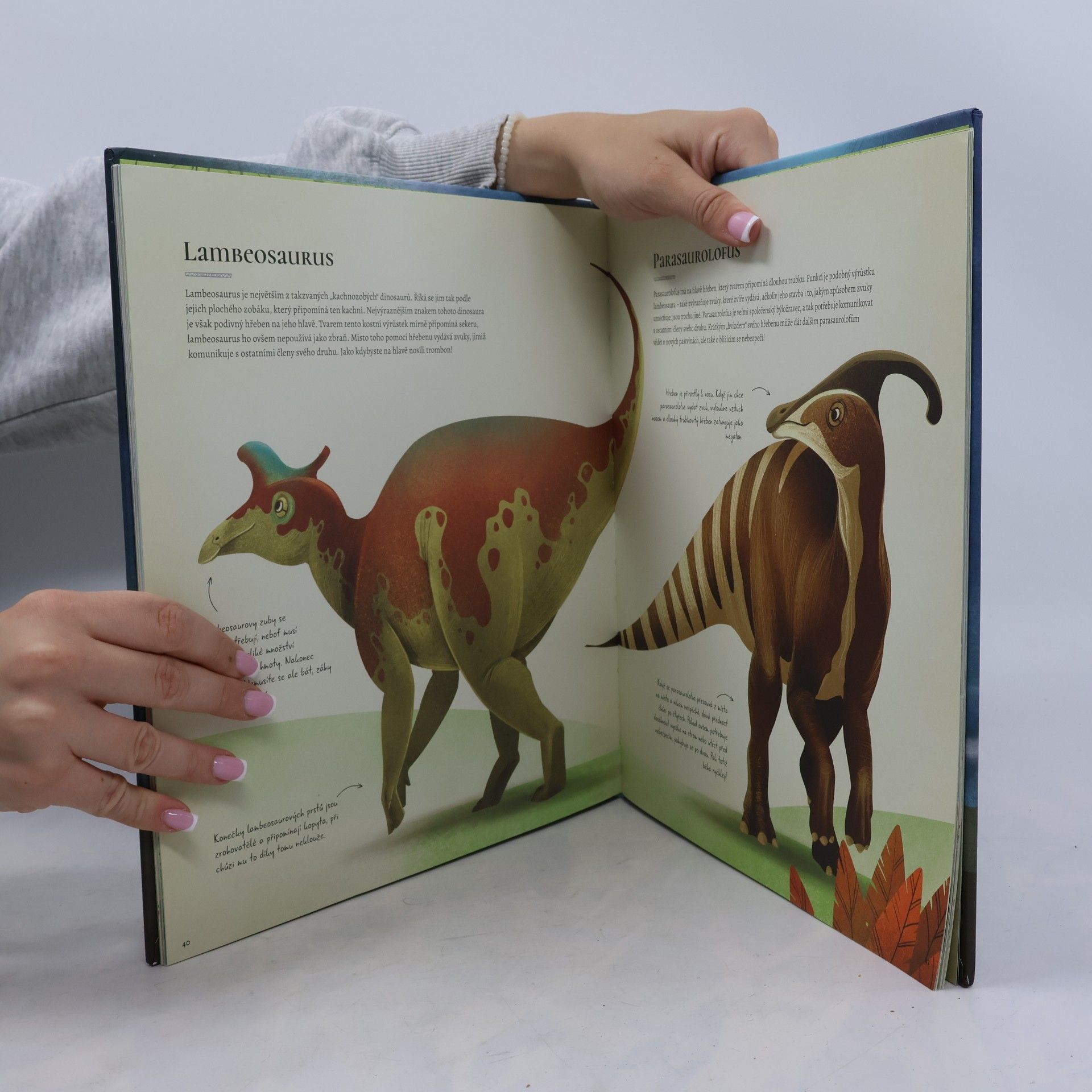 Federica Magrin Kniha plná dinosaurů : příručka zkušeného chovatele