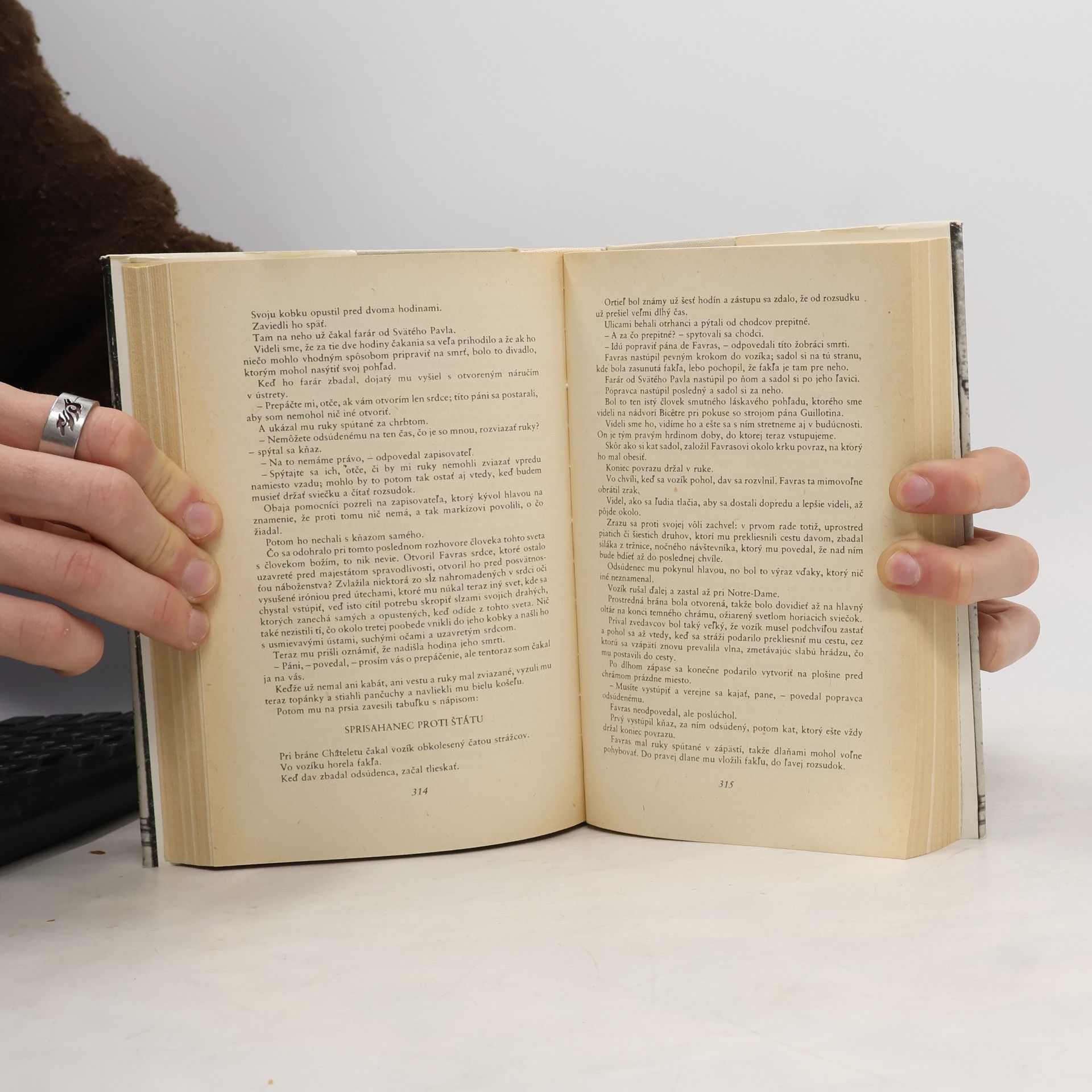 Alexandre Dumas der Ältere Grófka de Charny I.
