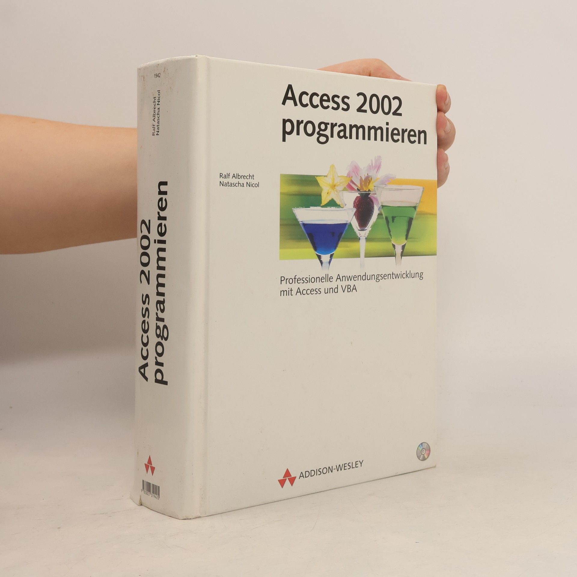 Natascha Nicol Access 2002 programmieren