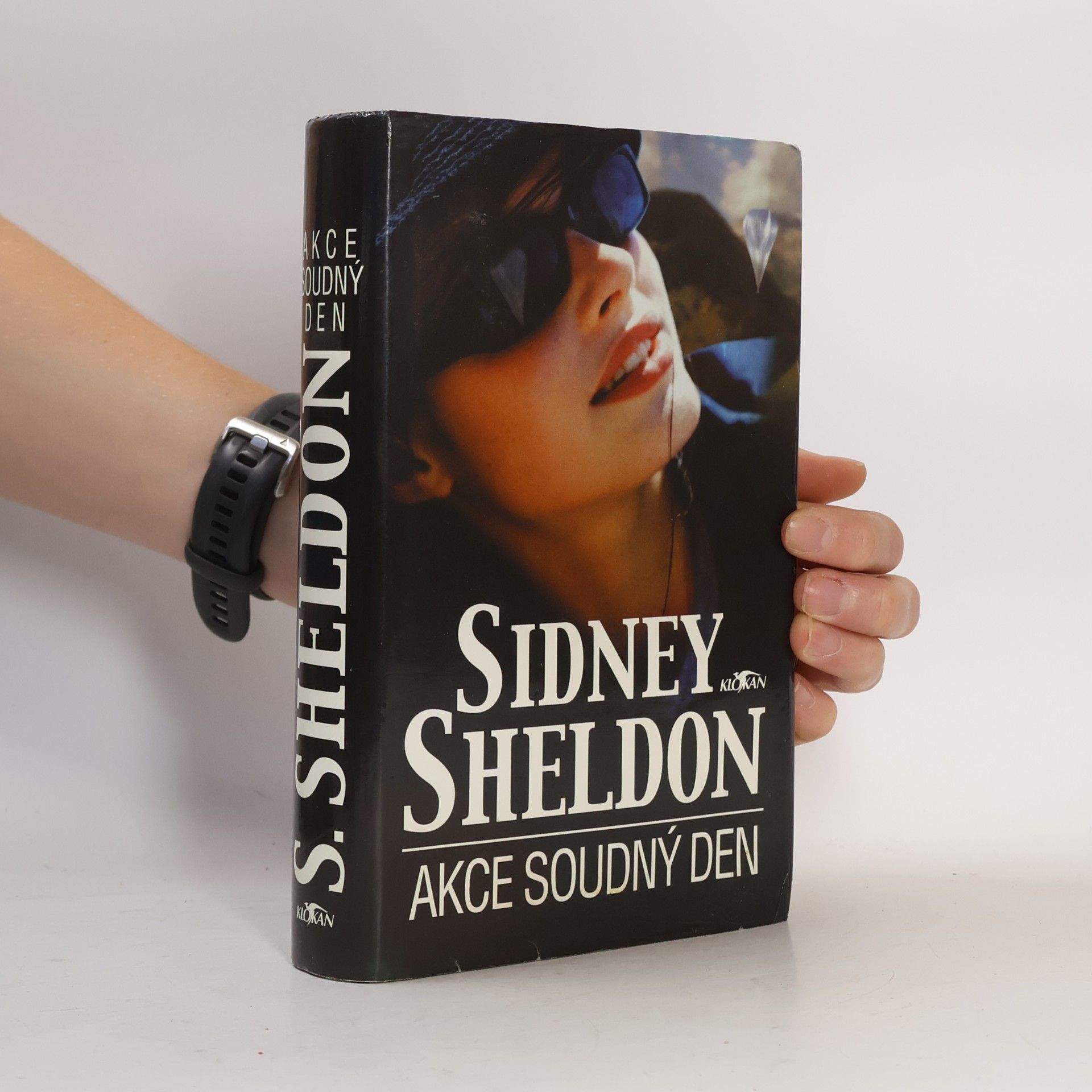 Sidney Sheldon Akce Soudný den