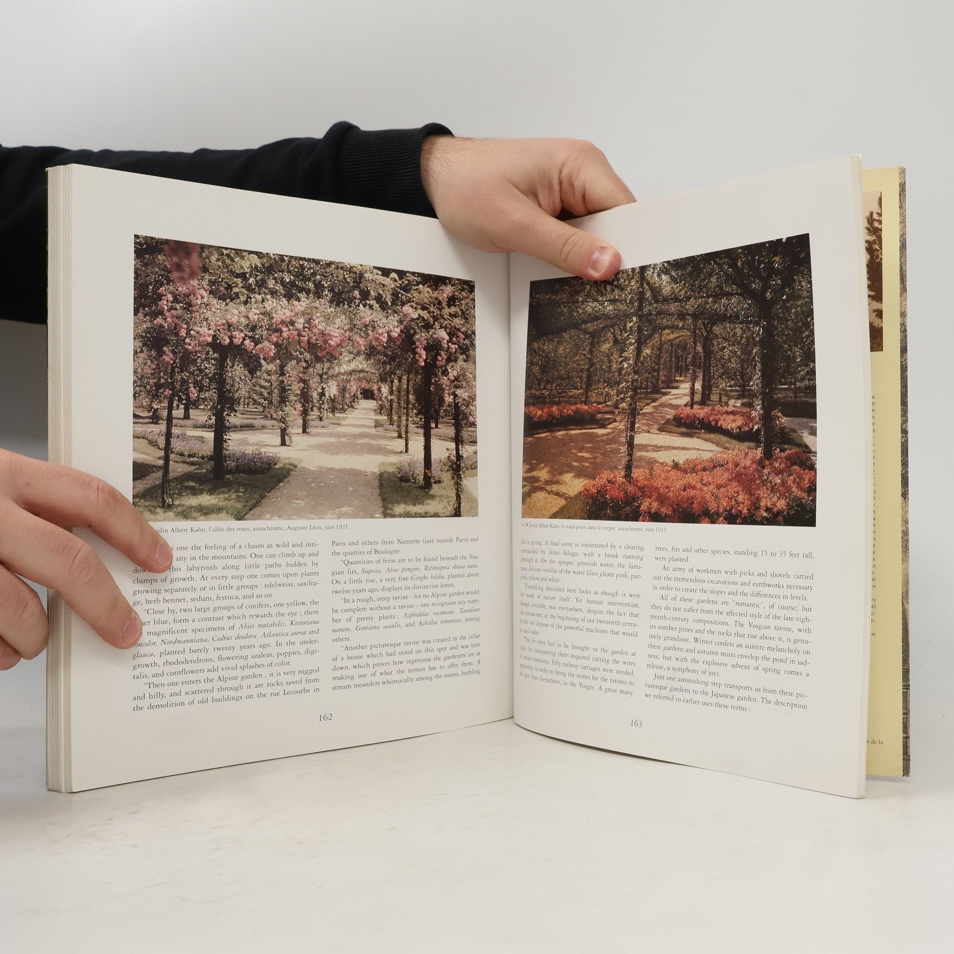 Jean-Christophe Molinier Jardins de villes privés