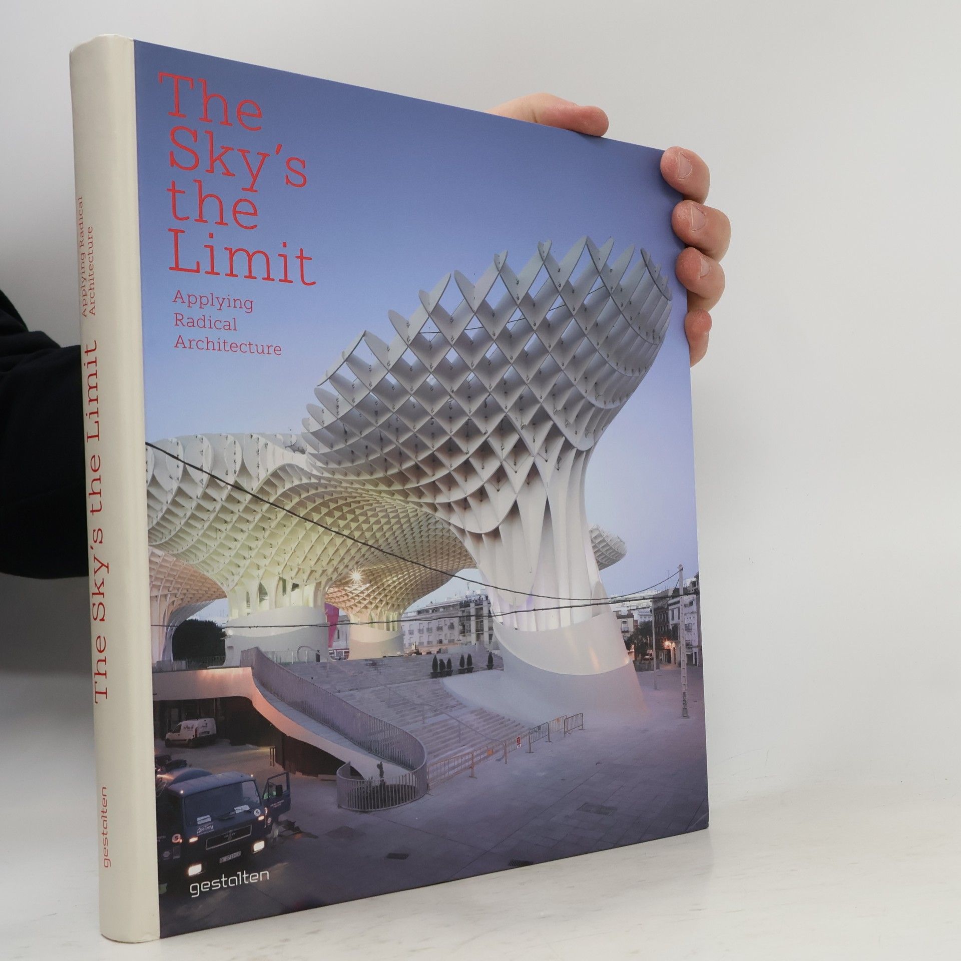 Sofia Borges The sky's the limit : applying radical architecture