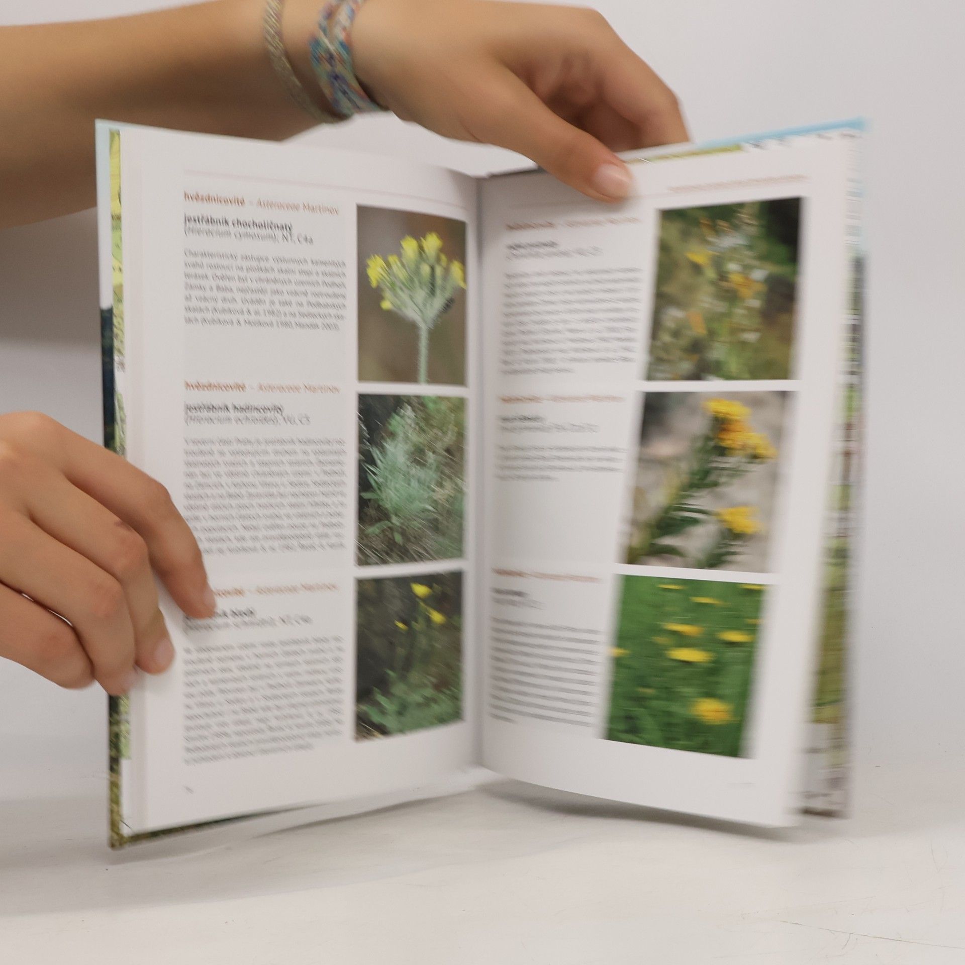 Daniel Hrčka Květena Kaňonu Vltavy u Sedlce