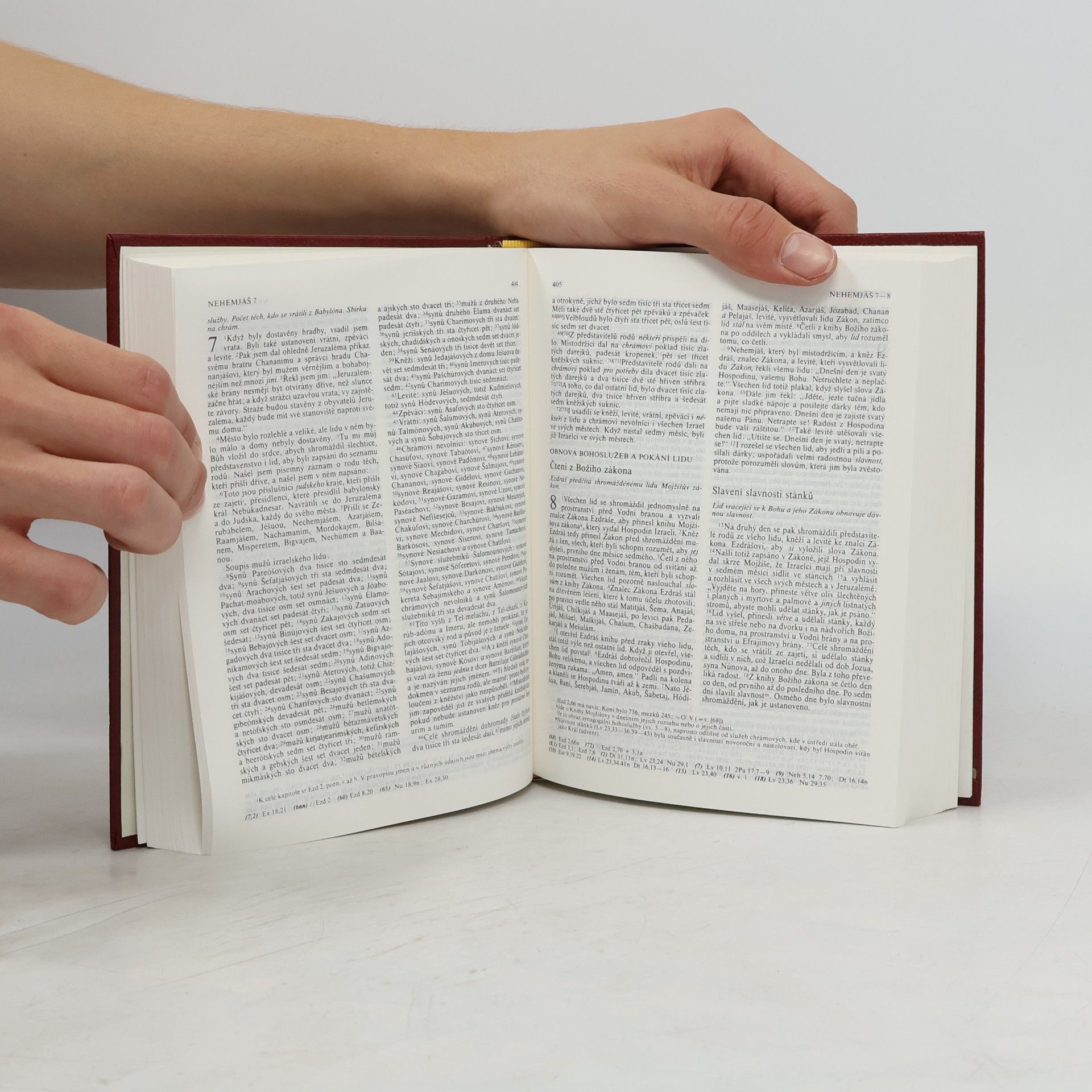 Autorenkollektiv Bible. Písmo svaté Starého i Nového zákona. Ekumenický překlad