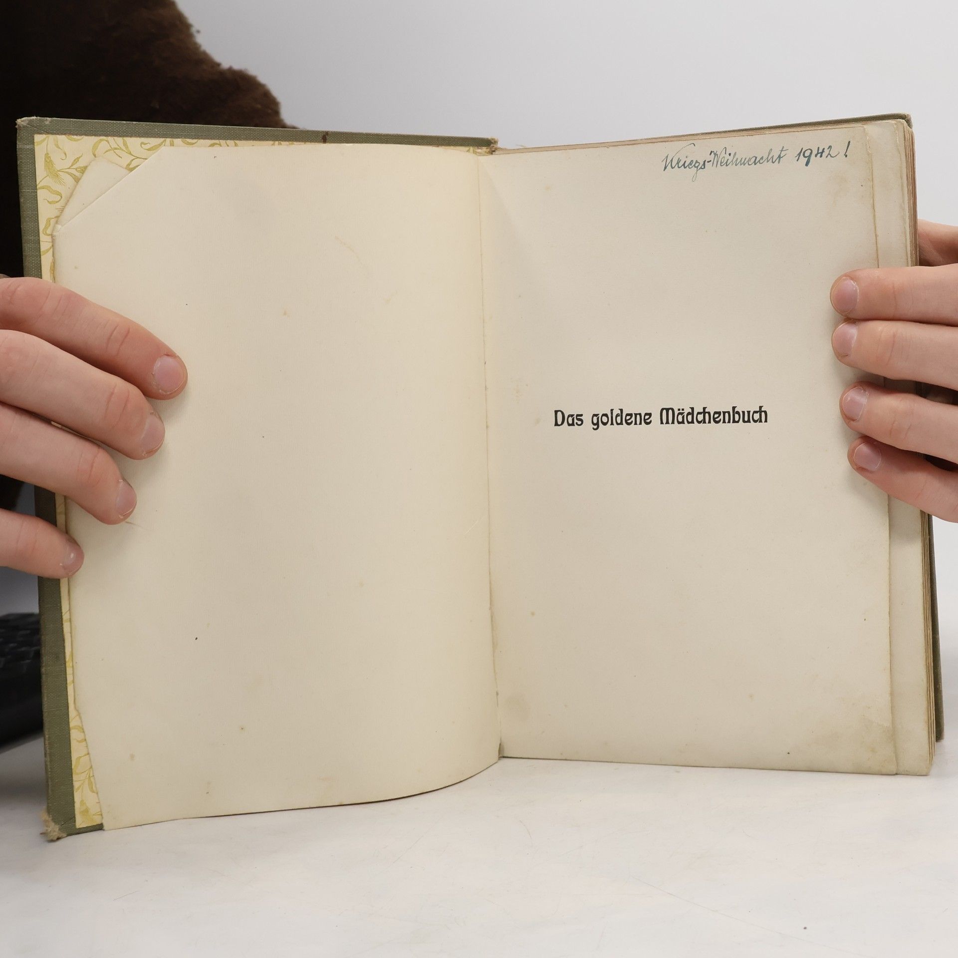 Luise Glass Das goldene Mädchenbuch 2