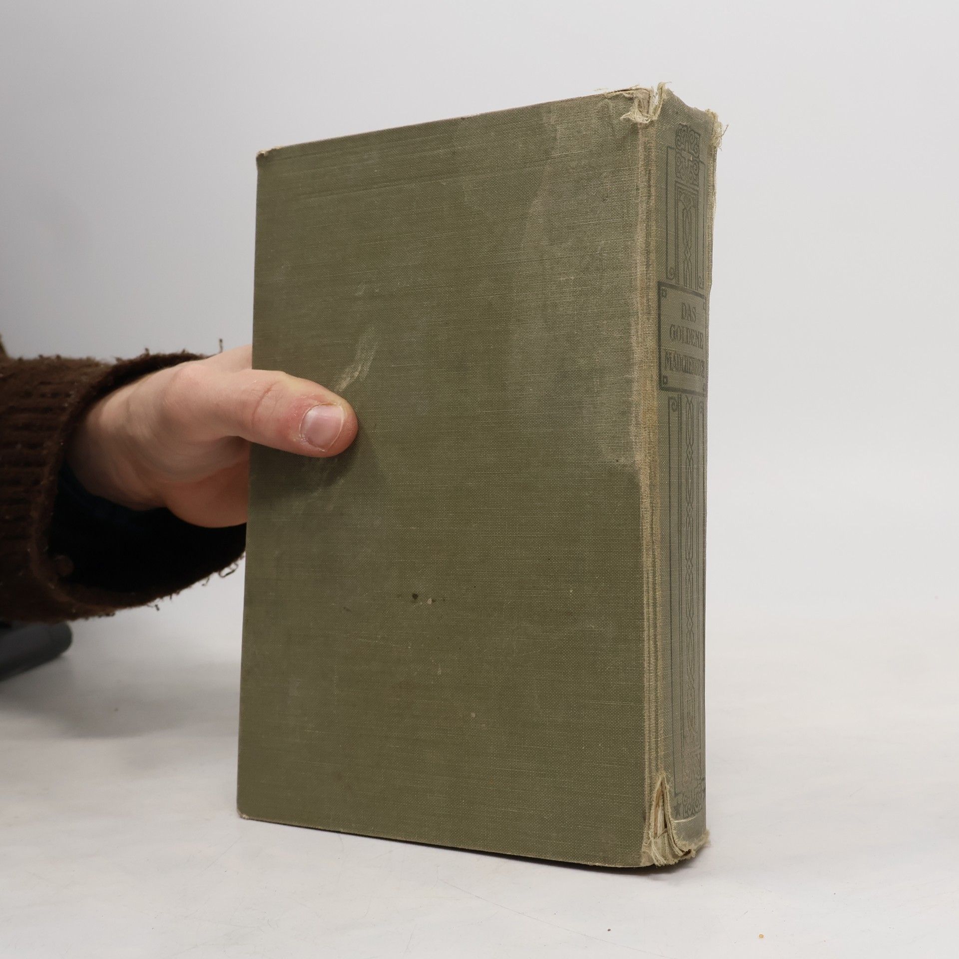 Luise Glass Das goldene Mädchenbuch 2