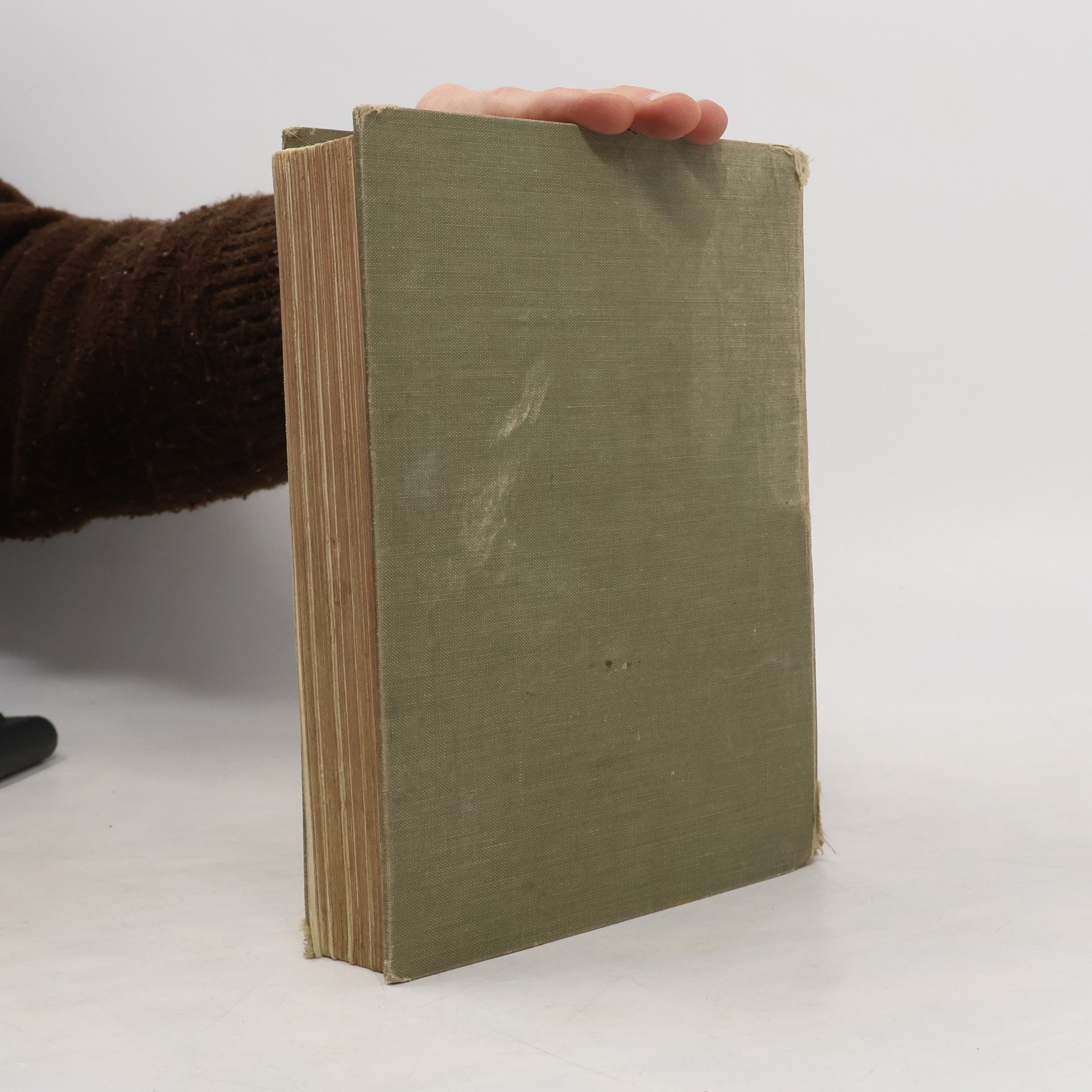 Luise Glass Das goldene Mädchenbuch 2
