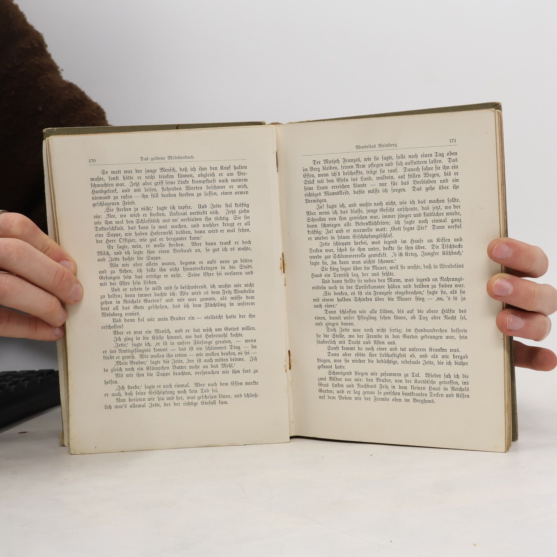 Luise Glass Das goldene Mädchenbuch 2