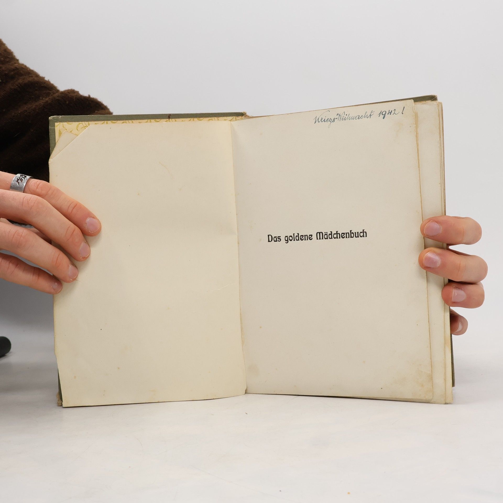 Luise Glass Das goldene Mädchenbuch 2
