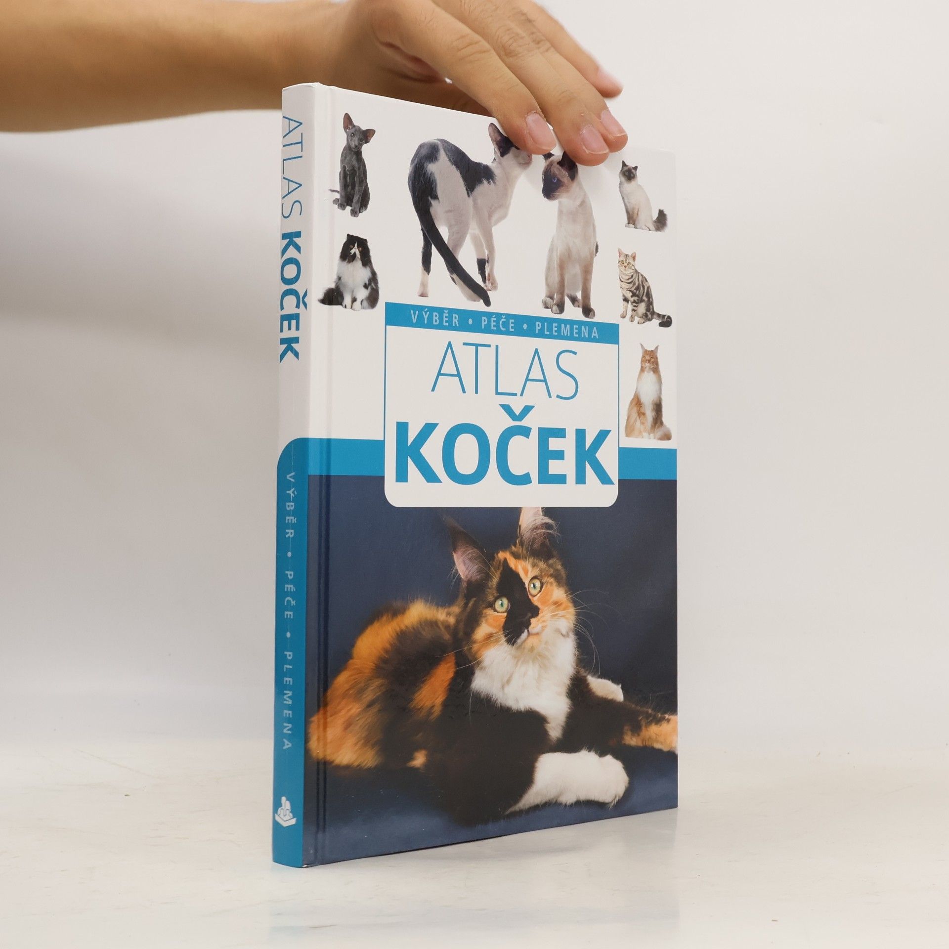Autorenkollektiv Atlas koček : výběr, péče, plemena